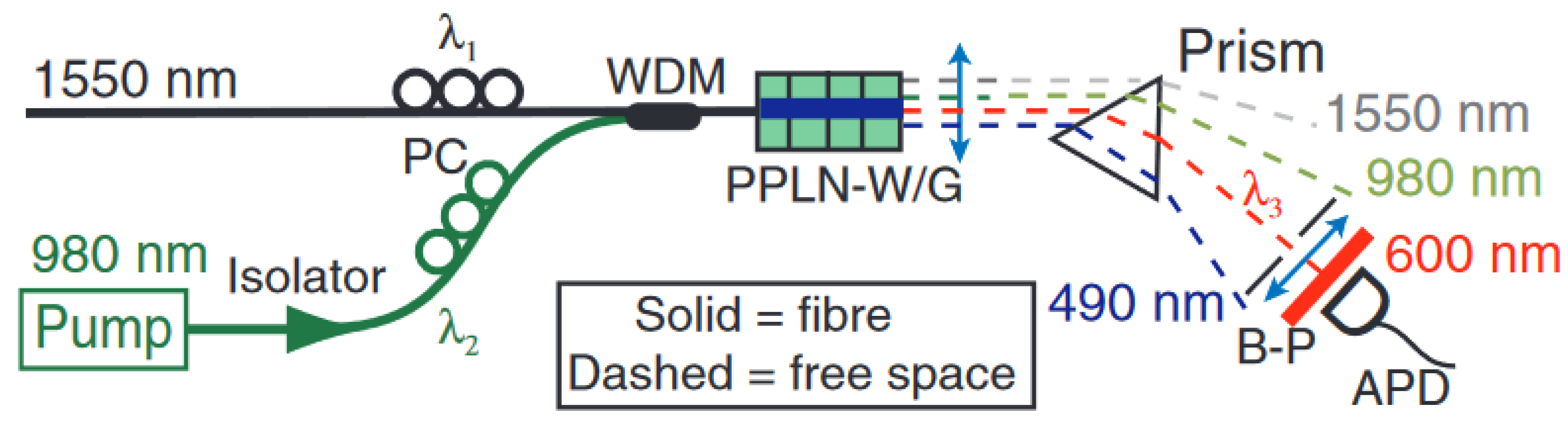 Preprints 147563 g001