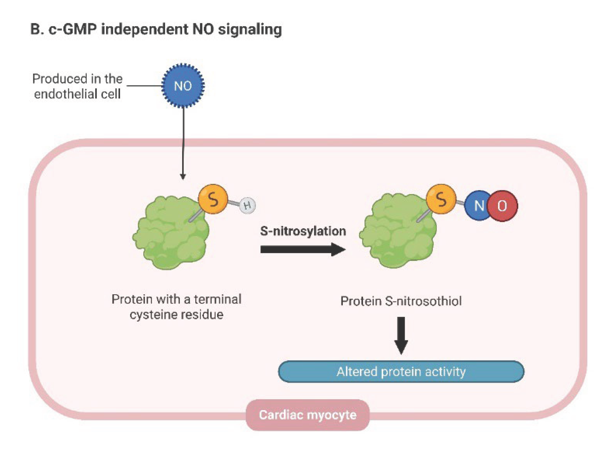 Preprints 233589 g004b