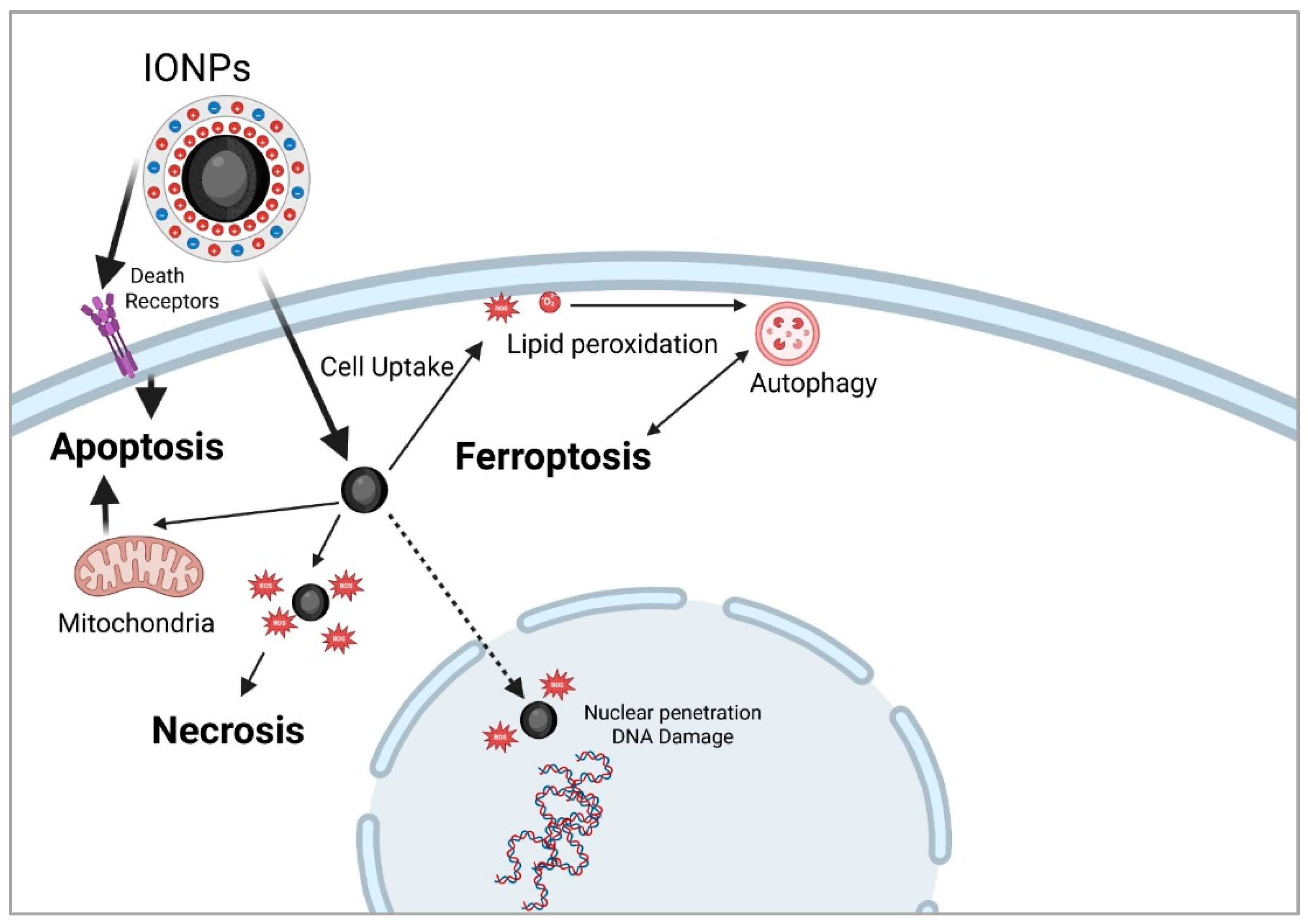 Preprints 172001 g004