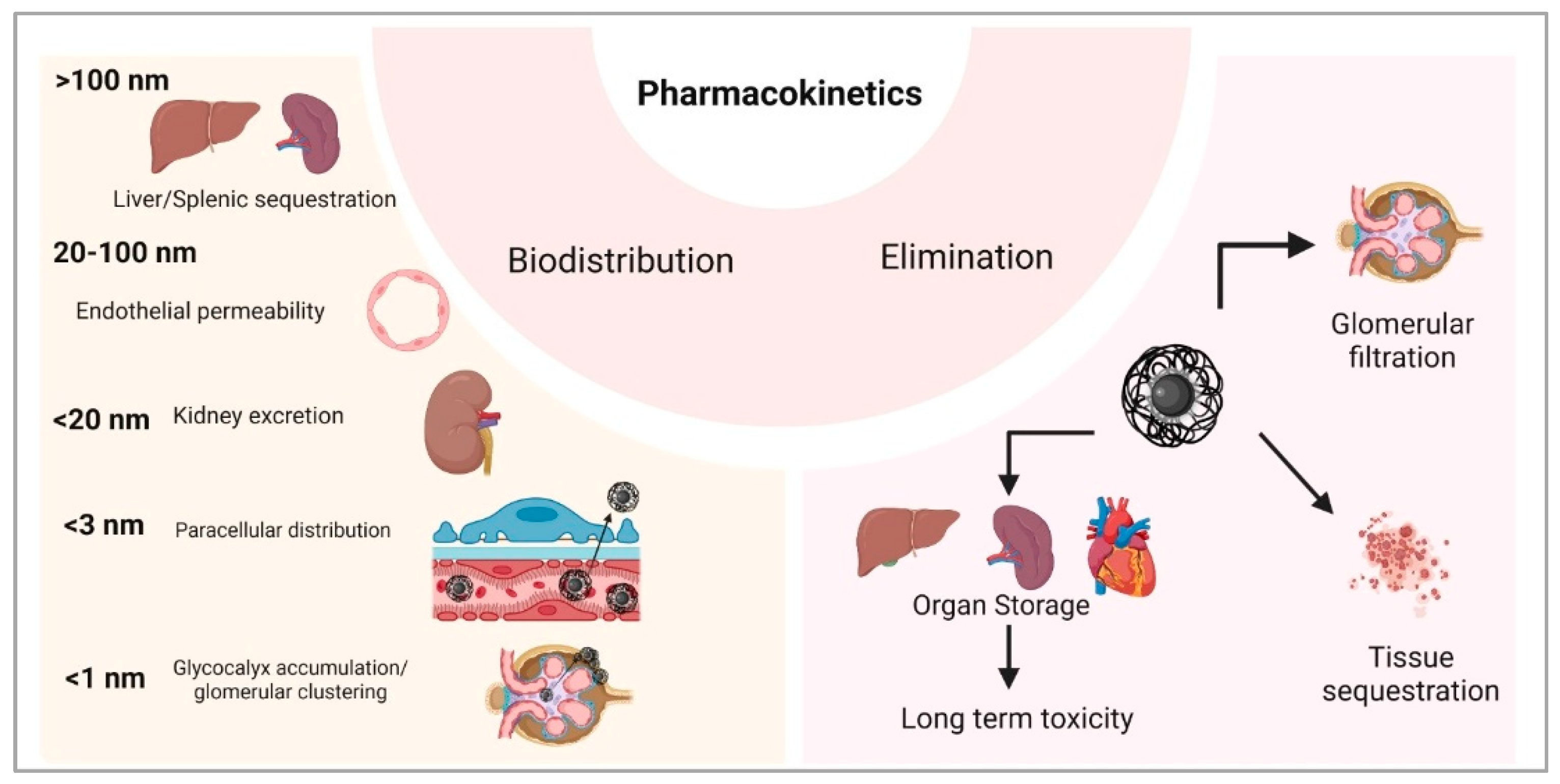 Preprints 172001 g005