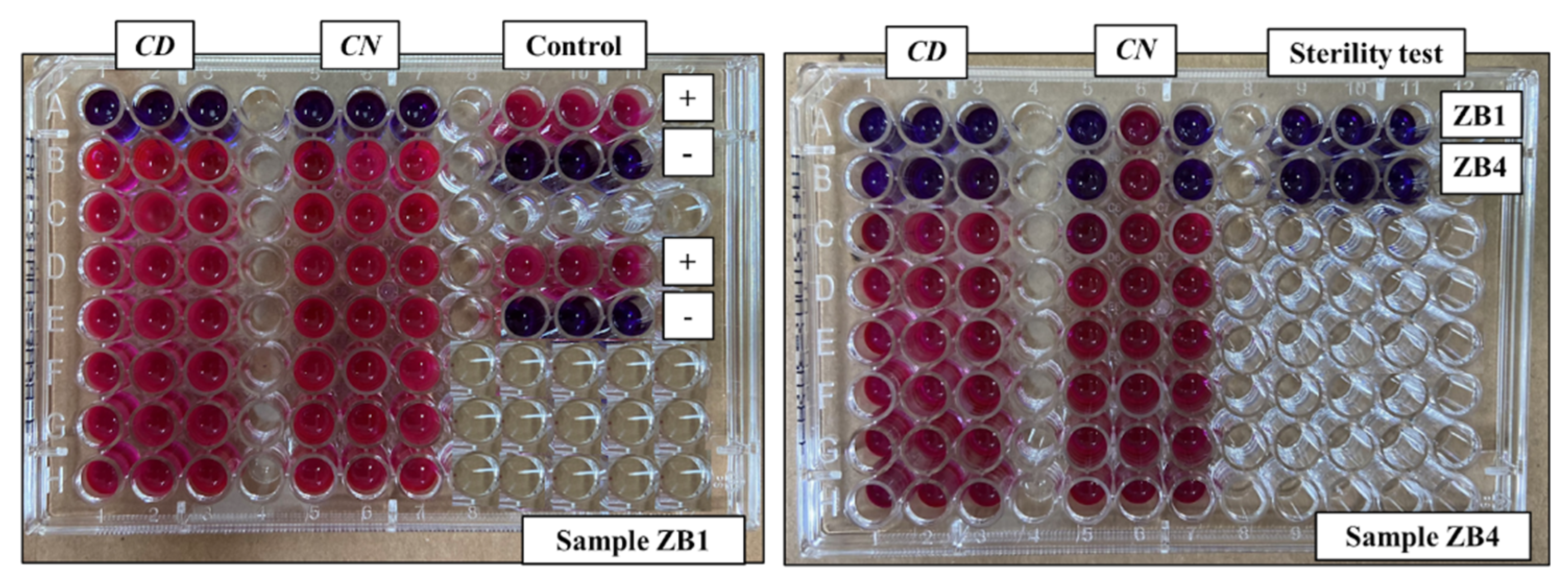 Preprints 169221 g005