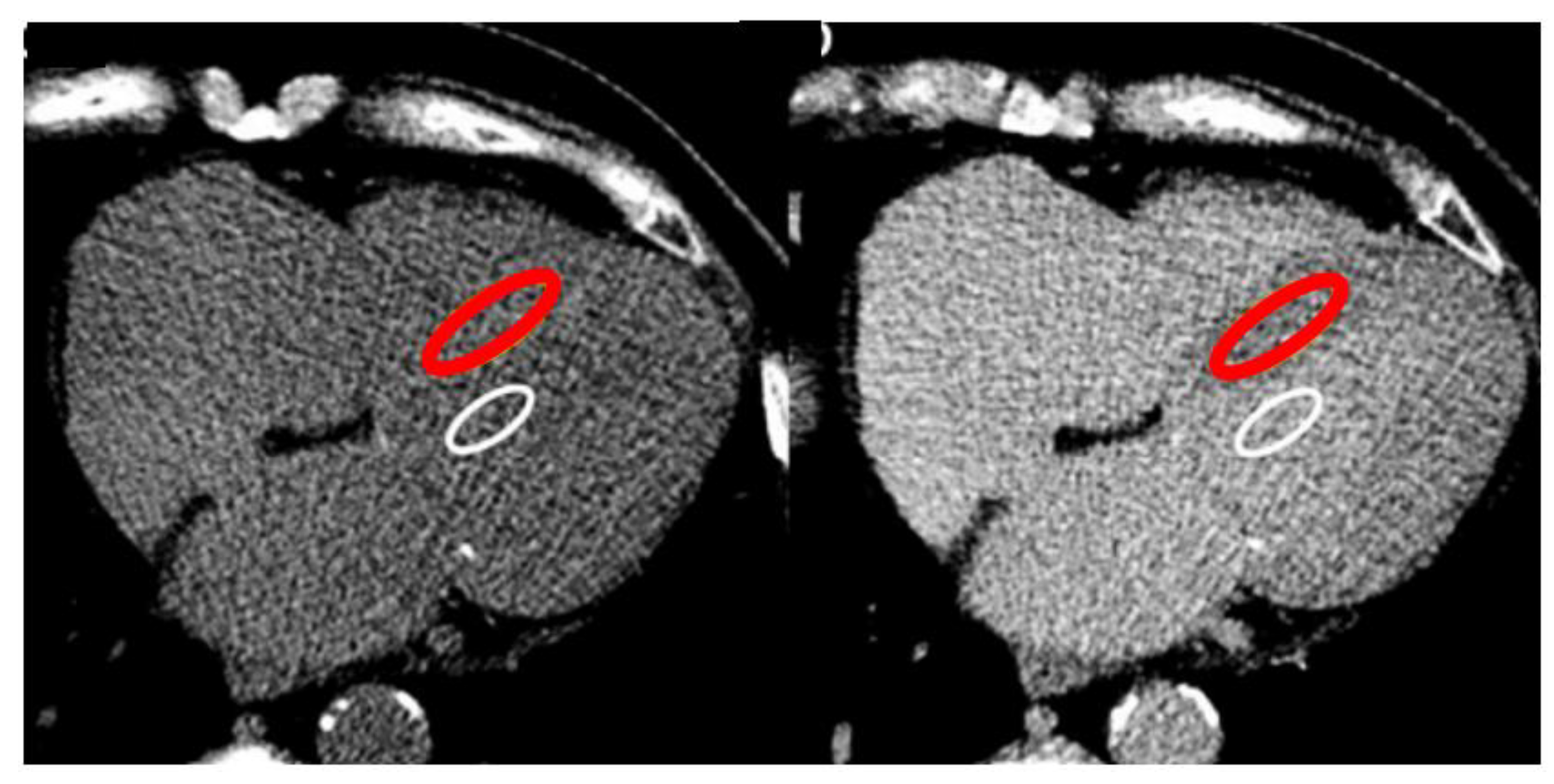 Preprints 186815 g002