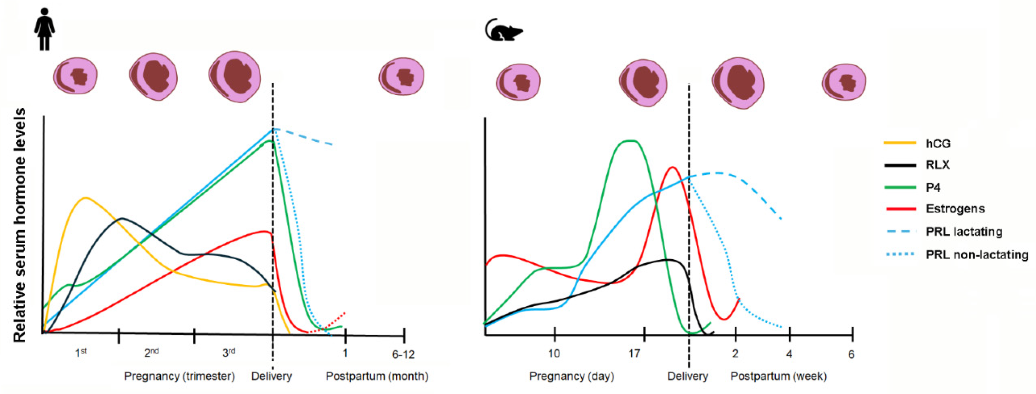 Preprints 206191 g001 Preprints 206191 g001