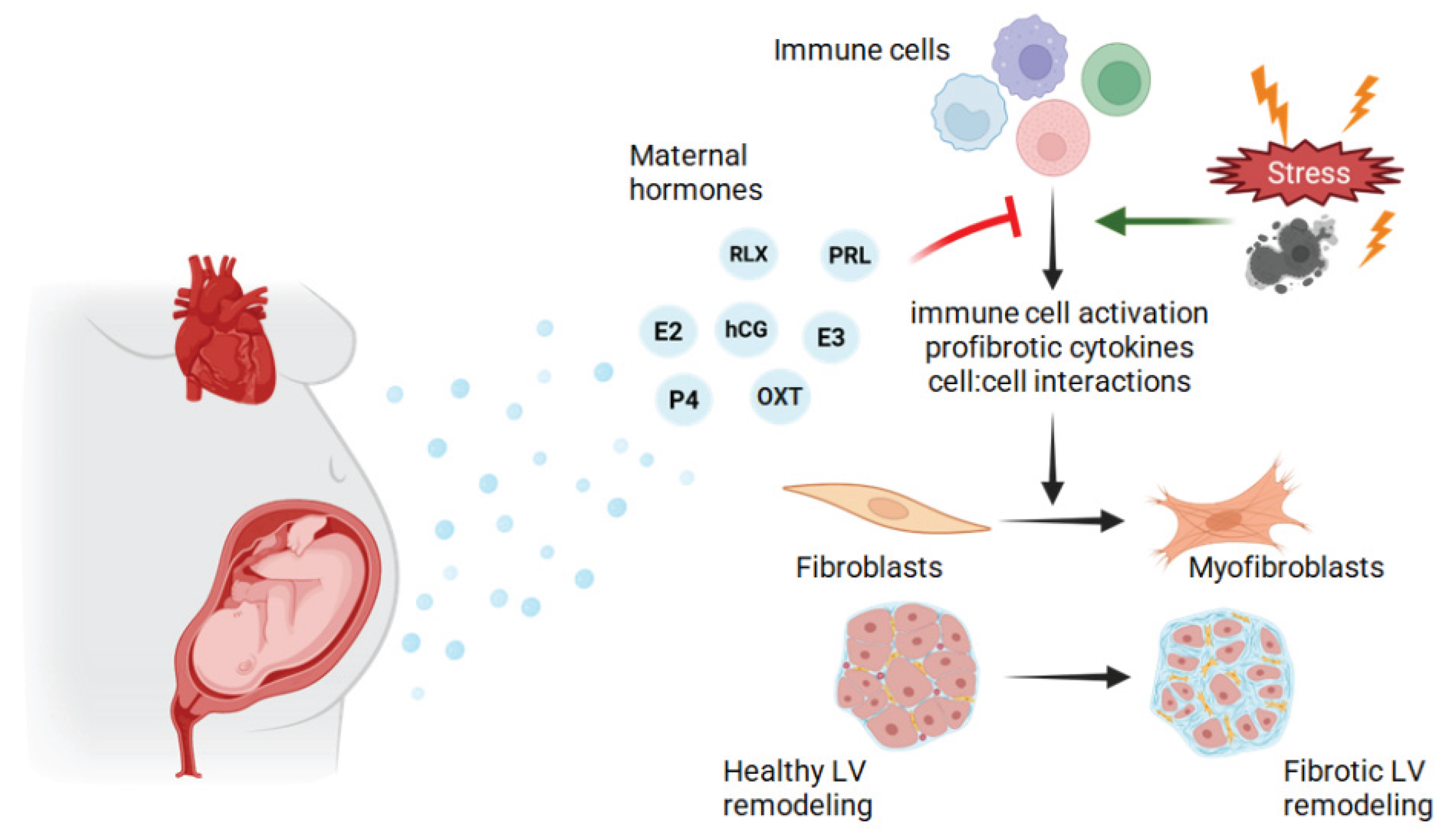Preprints 206191 g002 Preprints 206191 g002