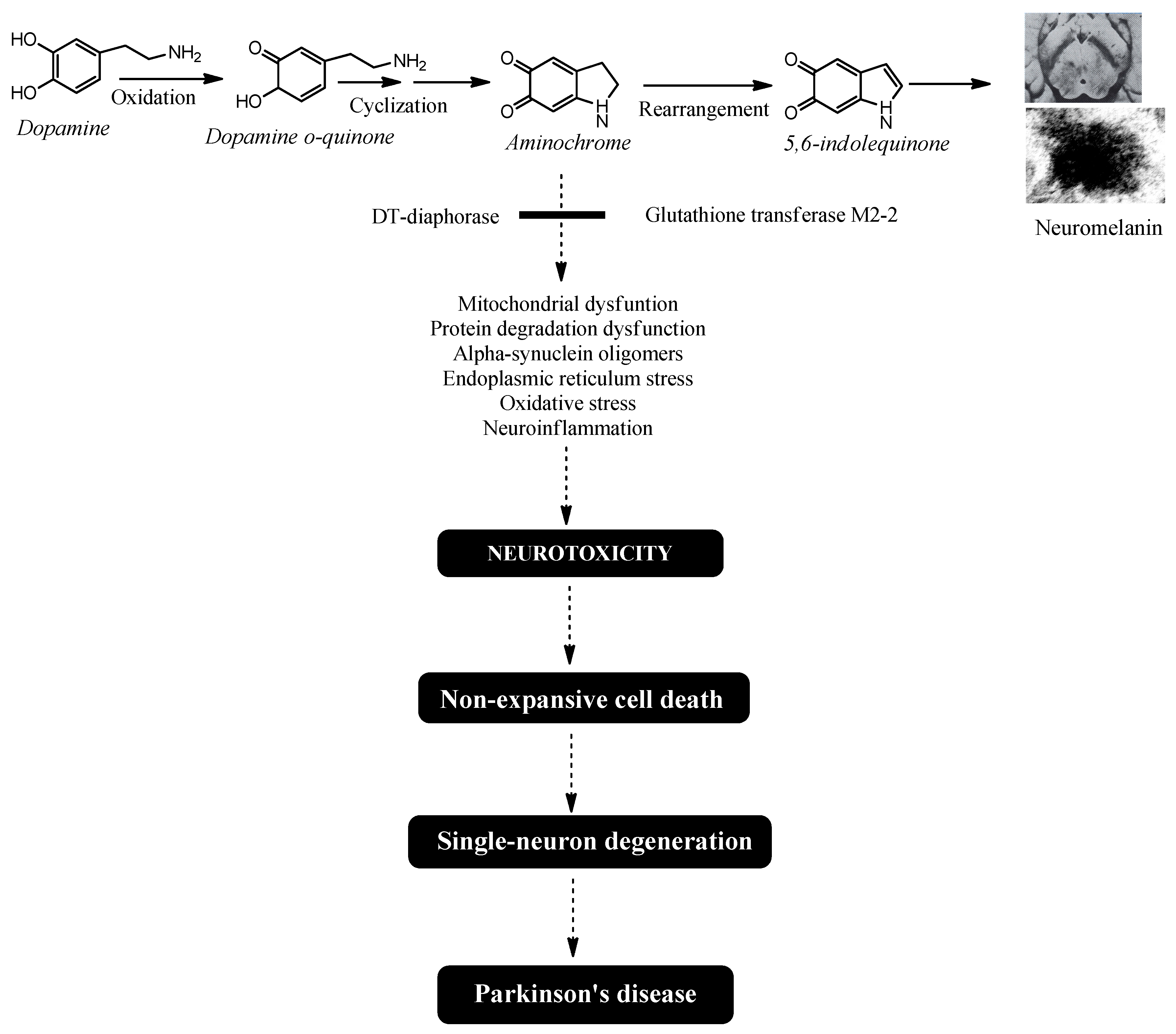 Preprints 174400 g001