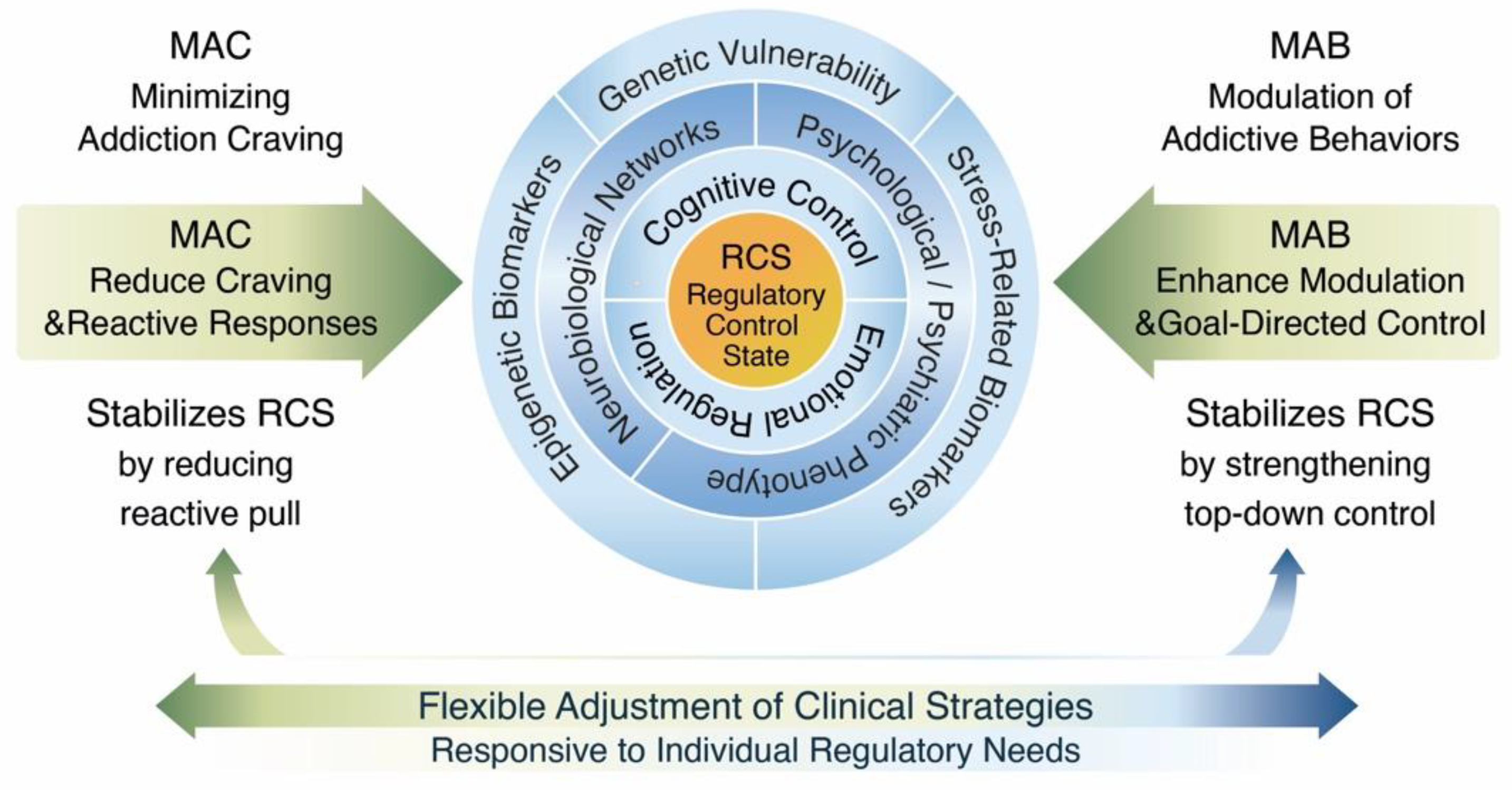 Preprints 193724 g001