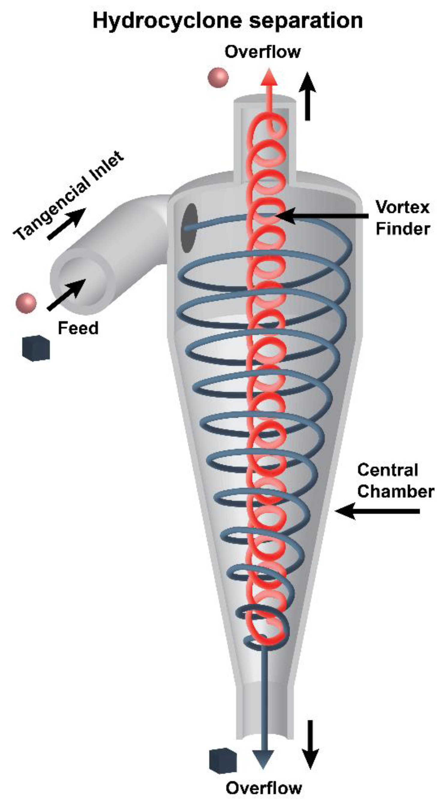 Preprints 202492 g005