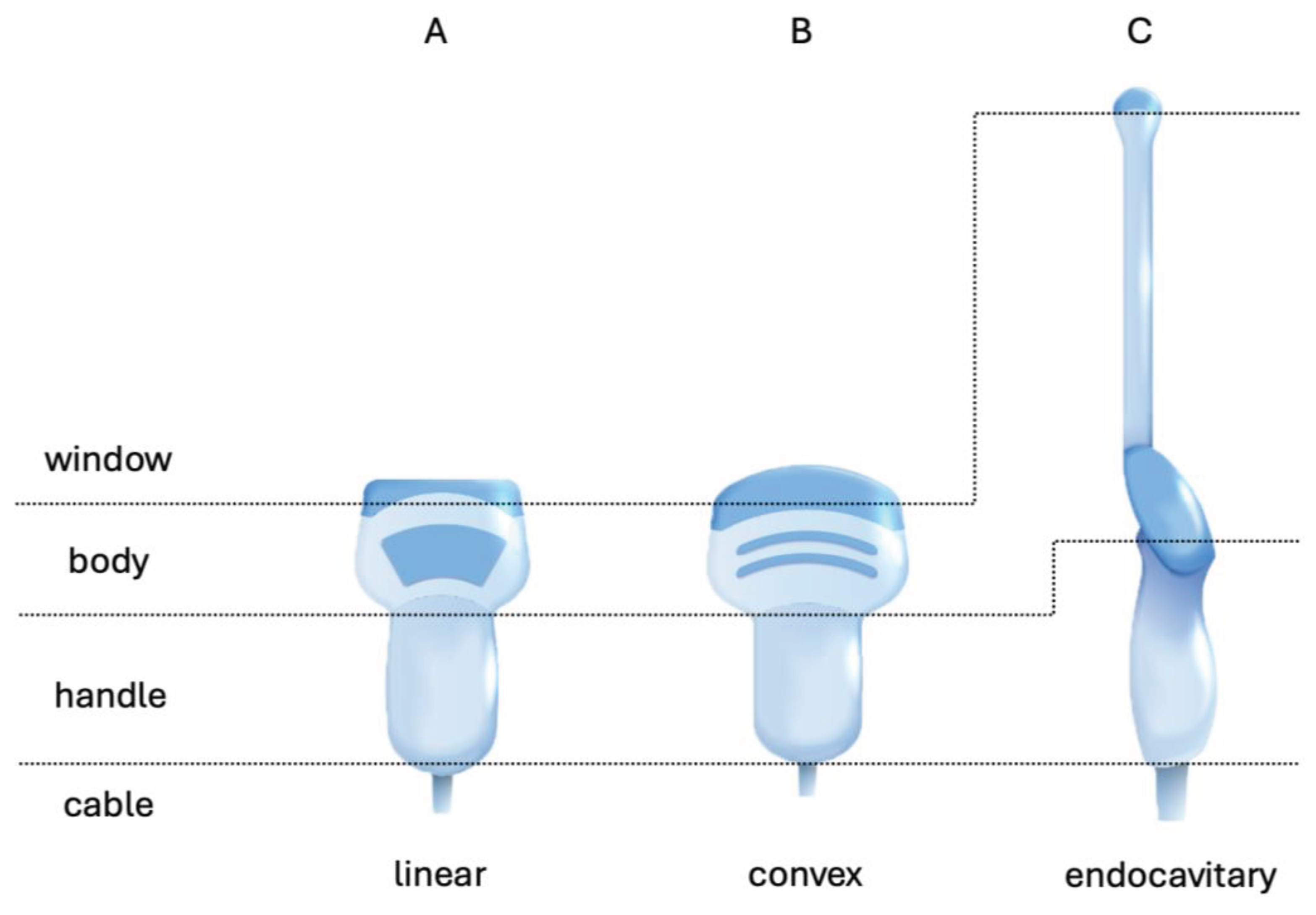 Preprints 102910 g001