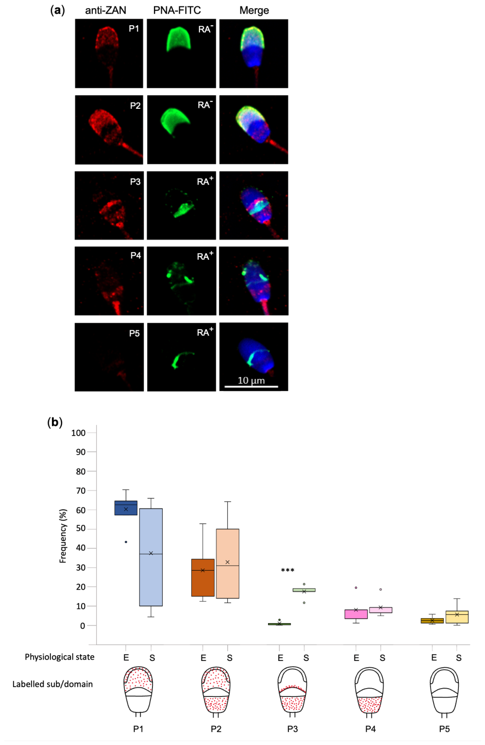 Preprints 223718 g001