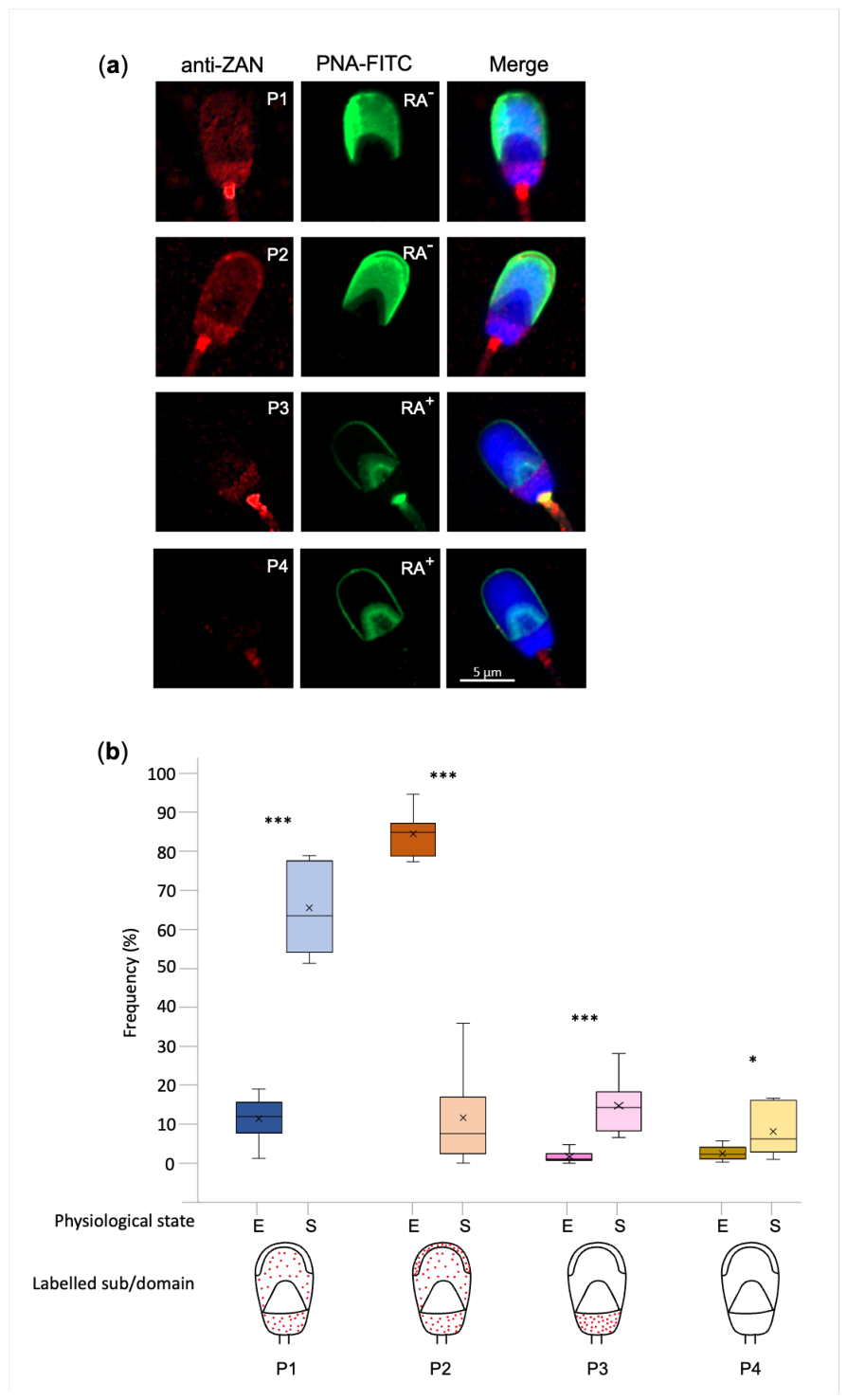 Preprints 223718 g002