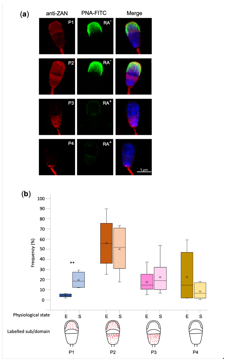 Preprints 223718 g003