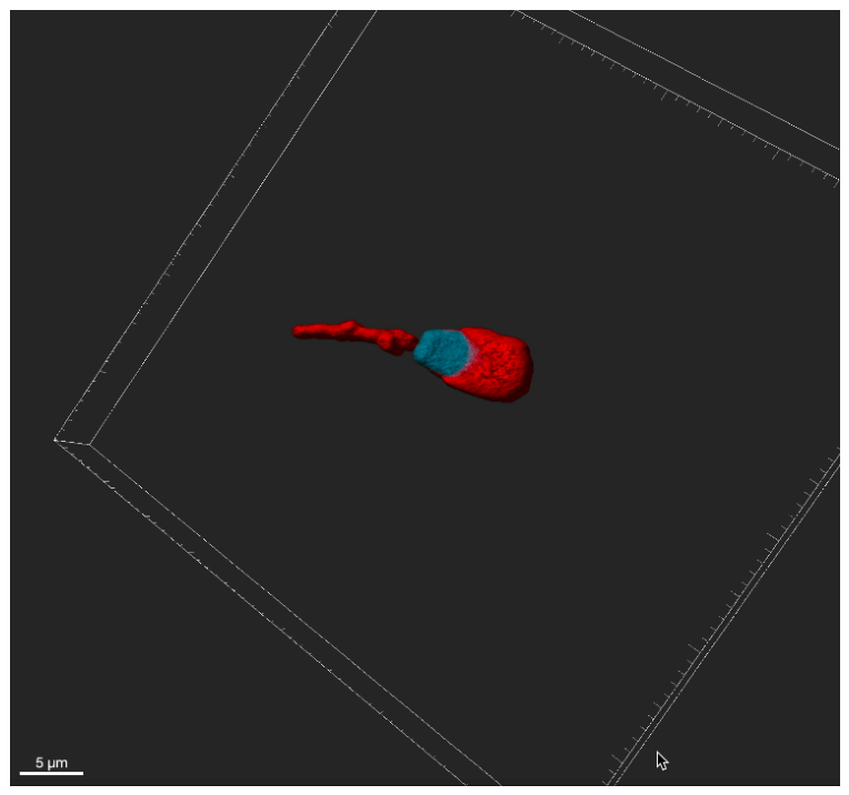 Preprints 223718 sch001