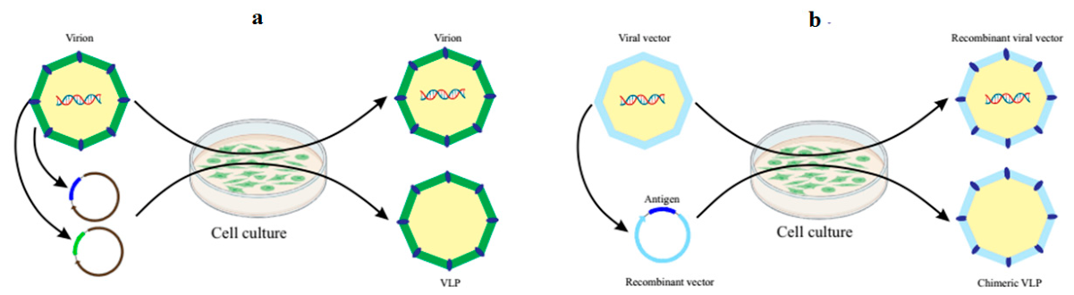 Preprints 229559 g001