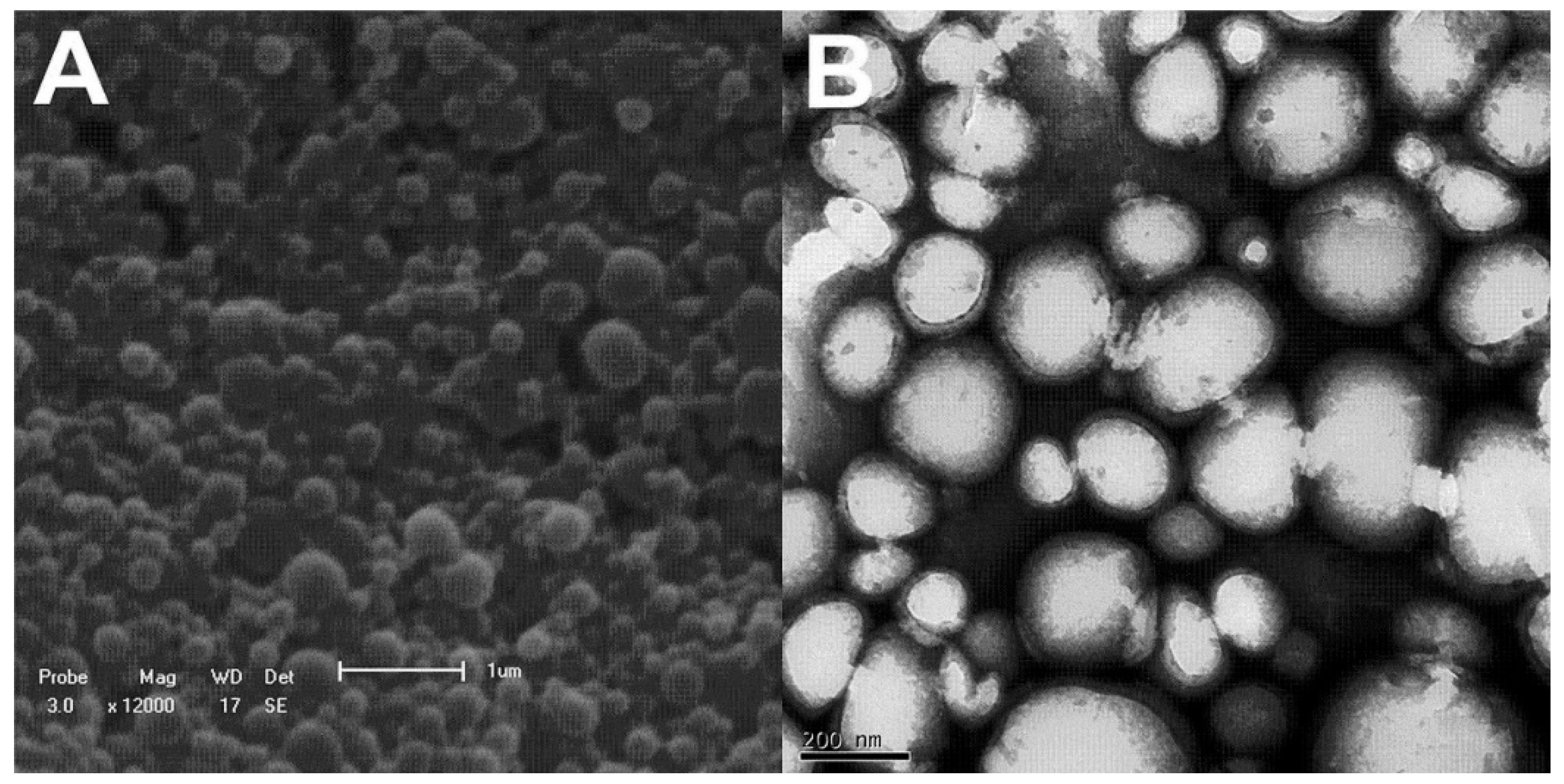 Preprints 188223 g001