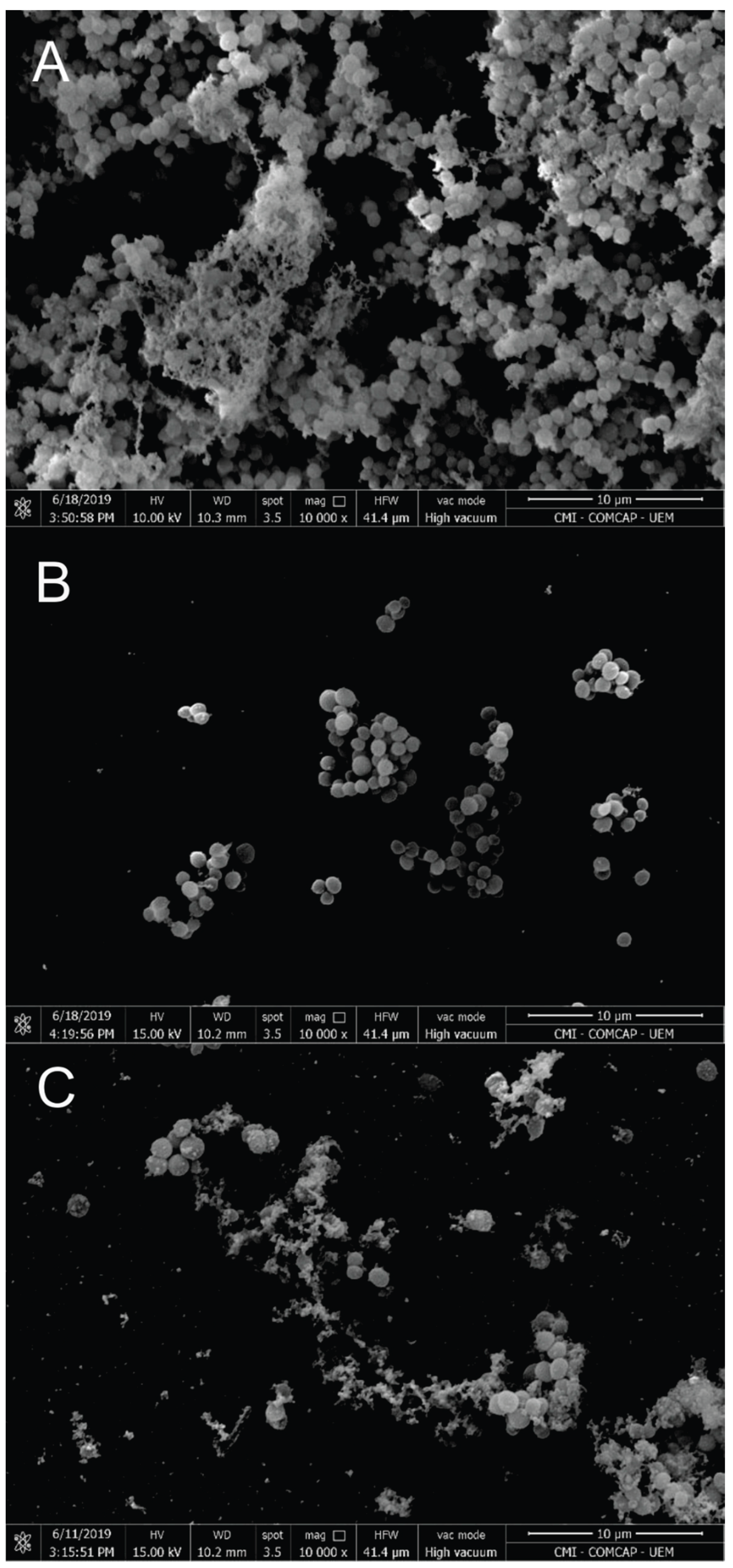 Preprints 188223 g004