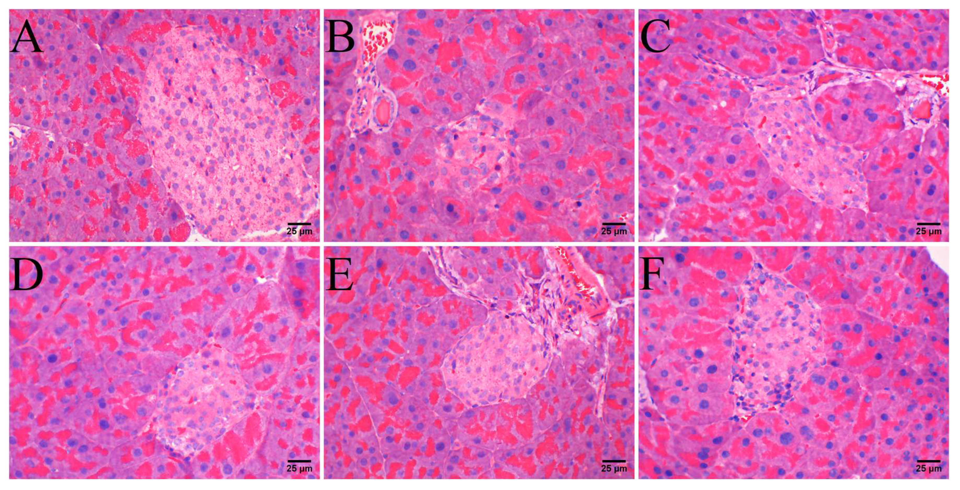 Preprints 232423 g004