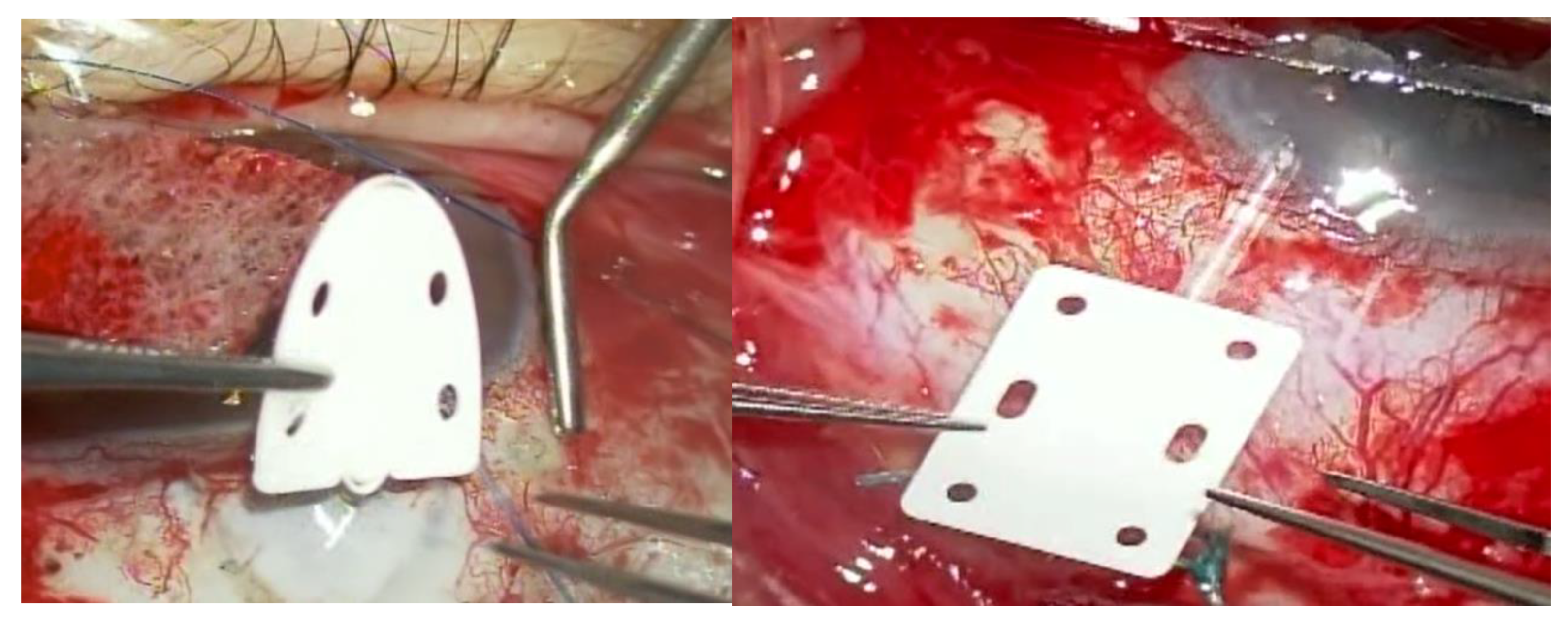 Preprints 175756 g001