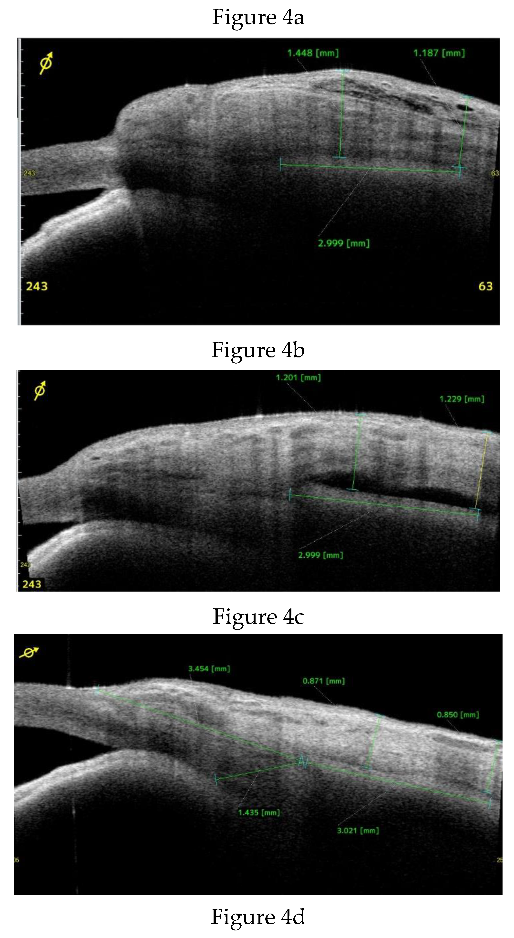 Preprints 175756 g004a