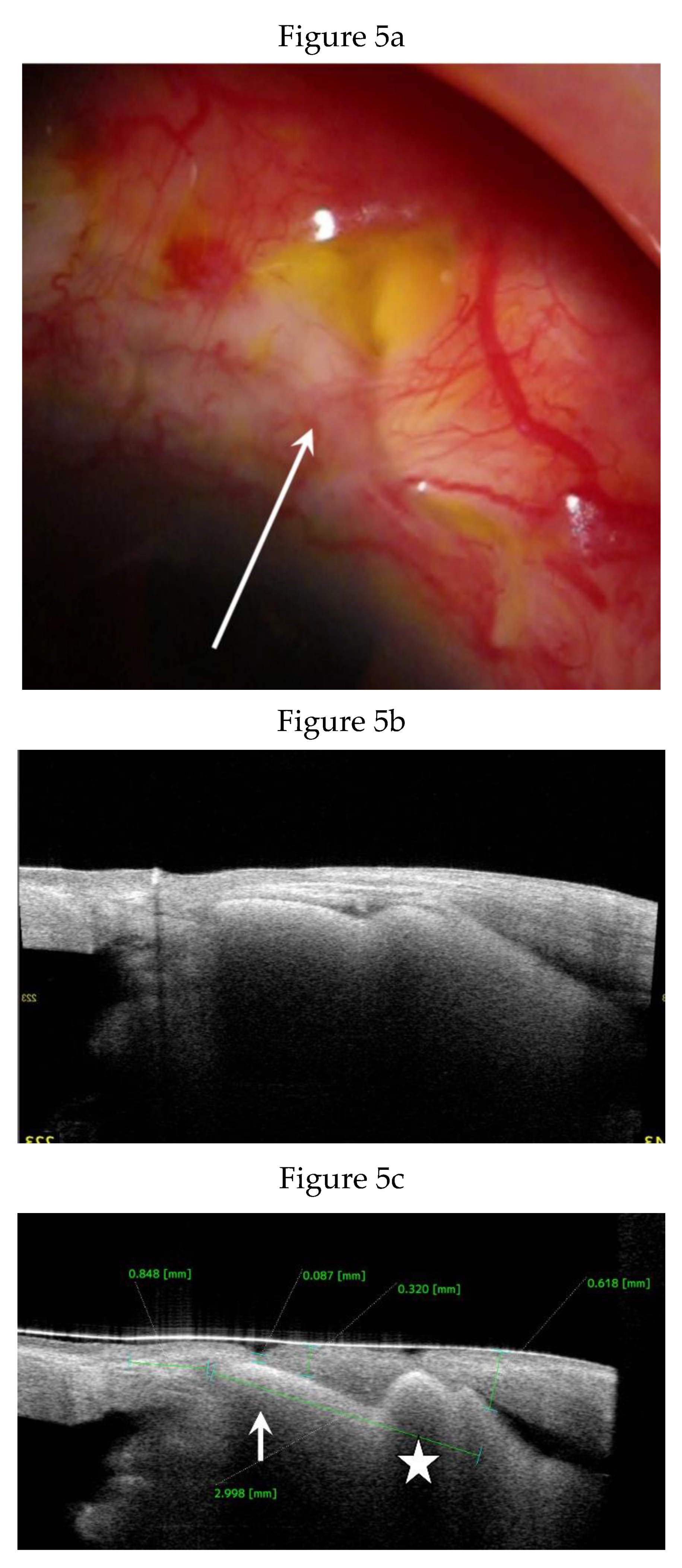 Preprints 175756 g005