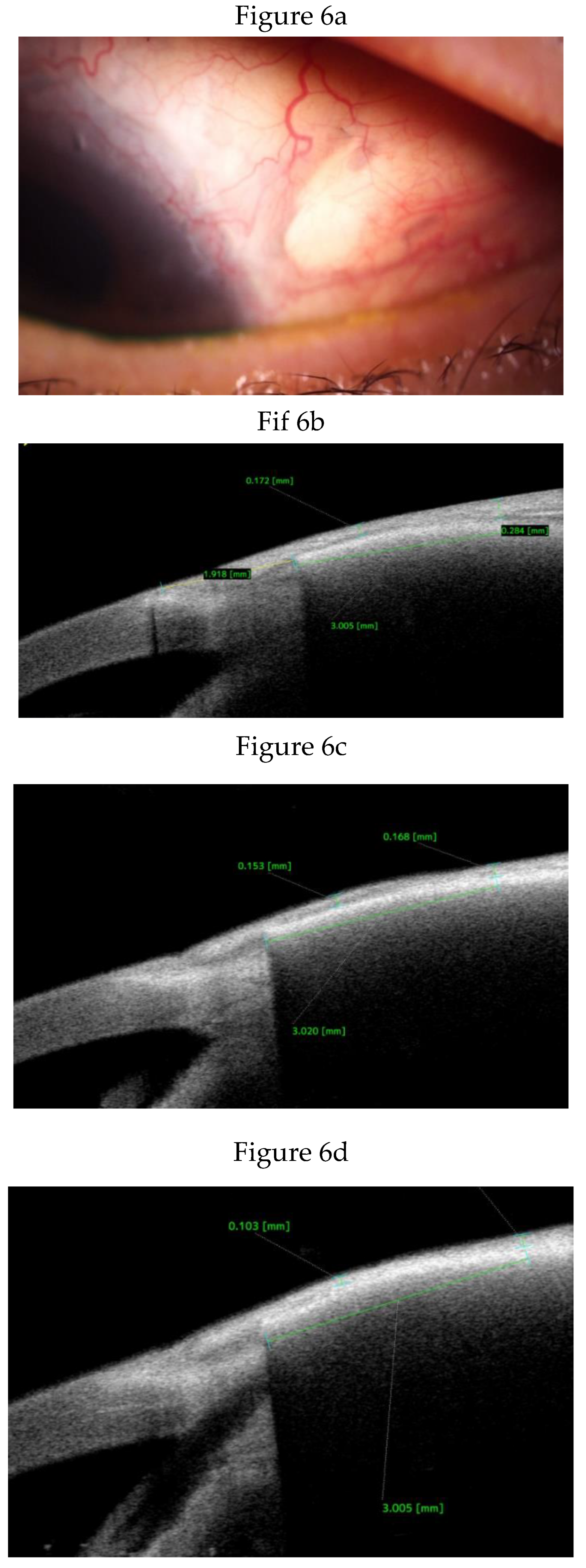 Preprints 175756 g006