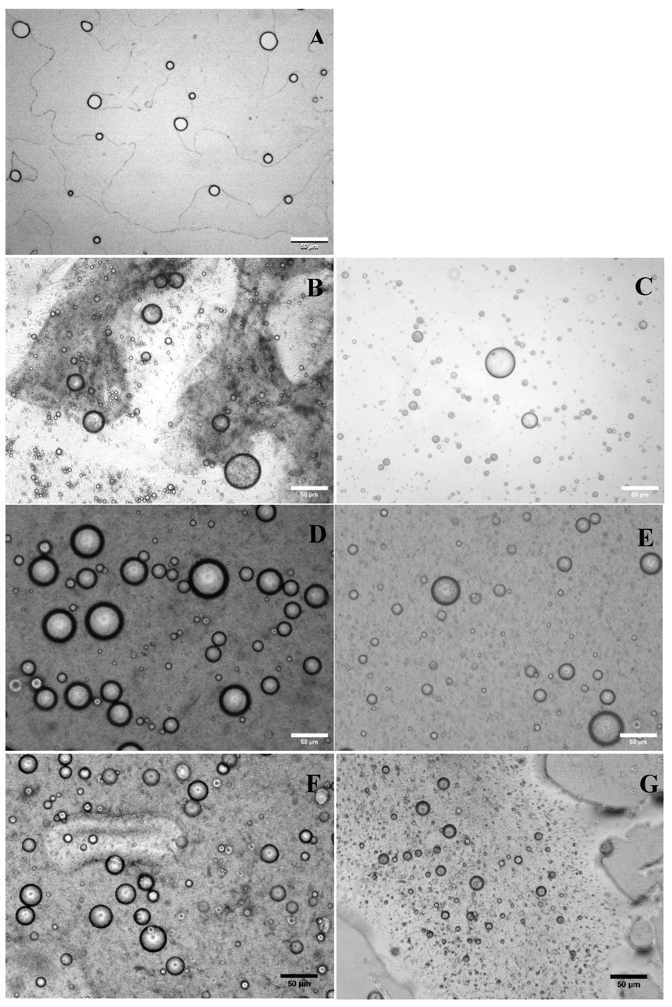 Preprints 163902 g001
