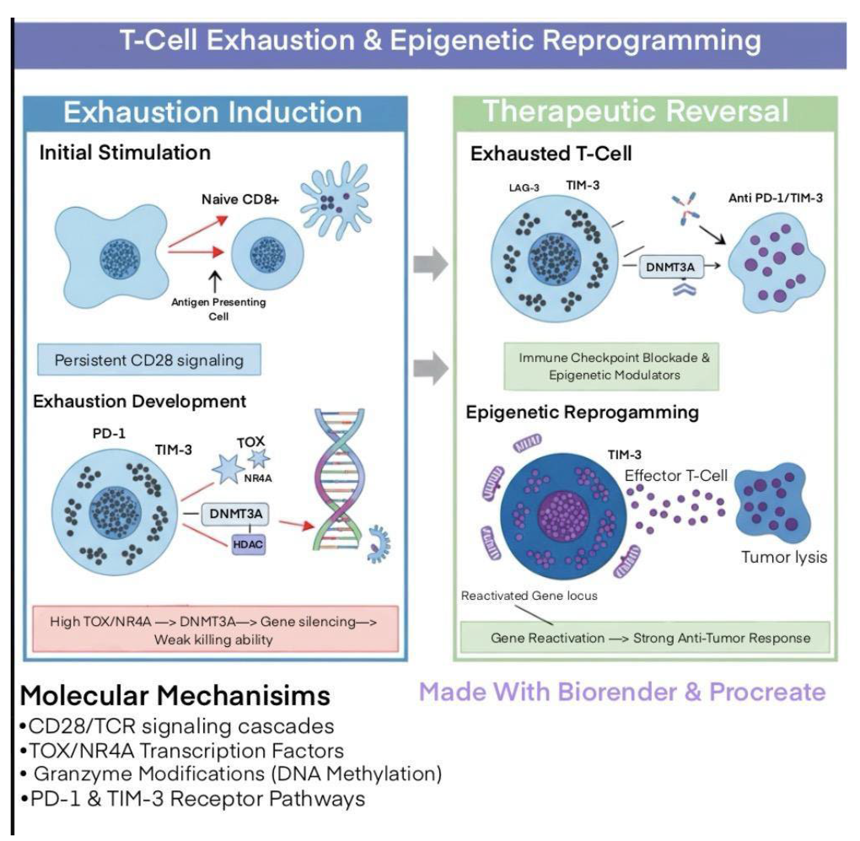 Preprints 199805 g001