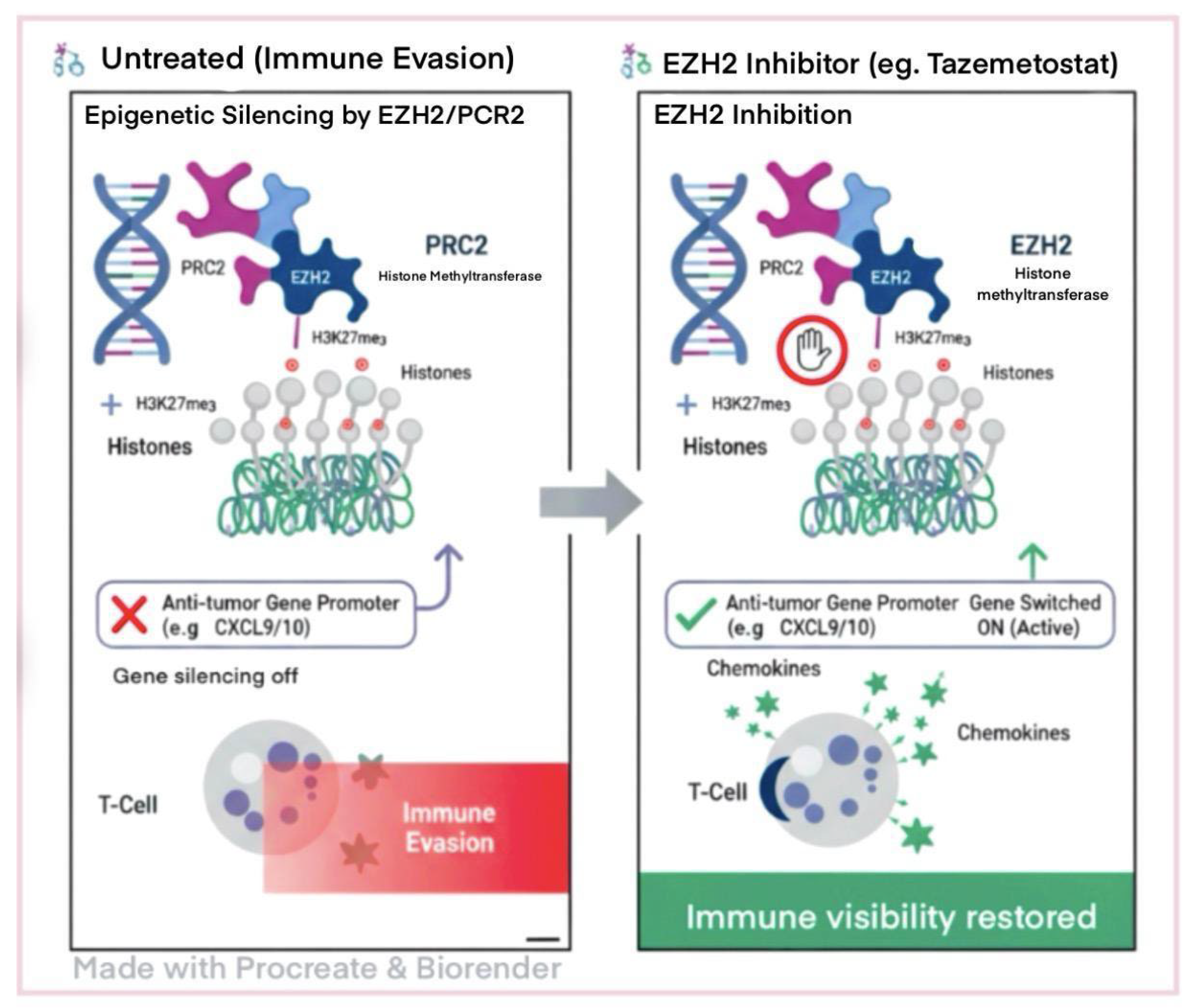 Preprints 199805 g002