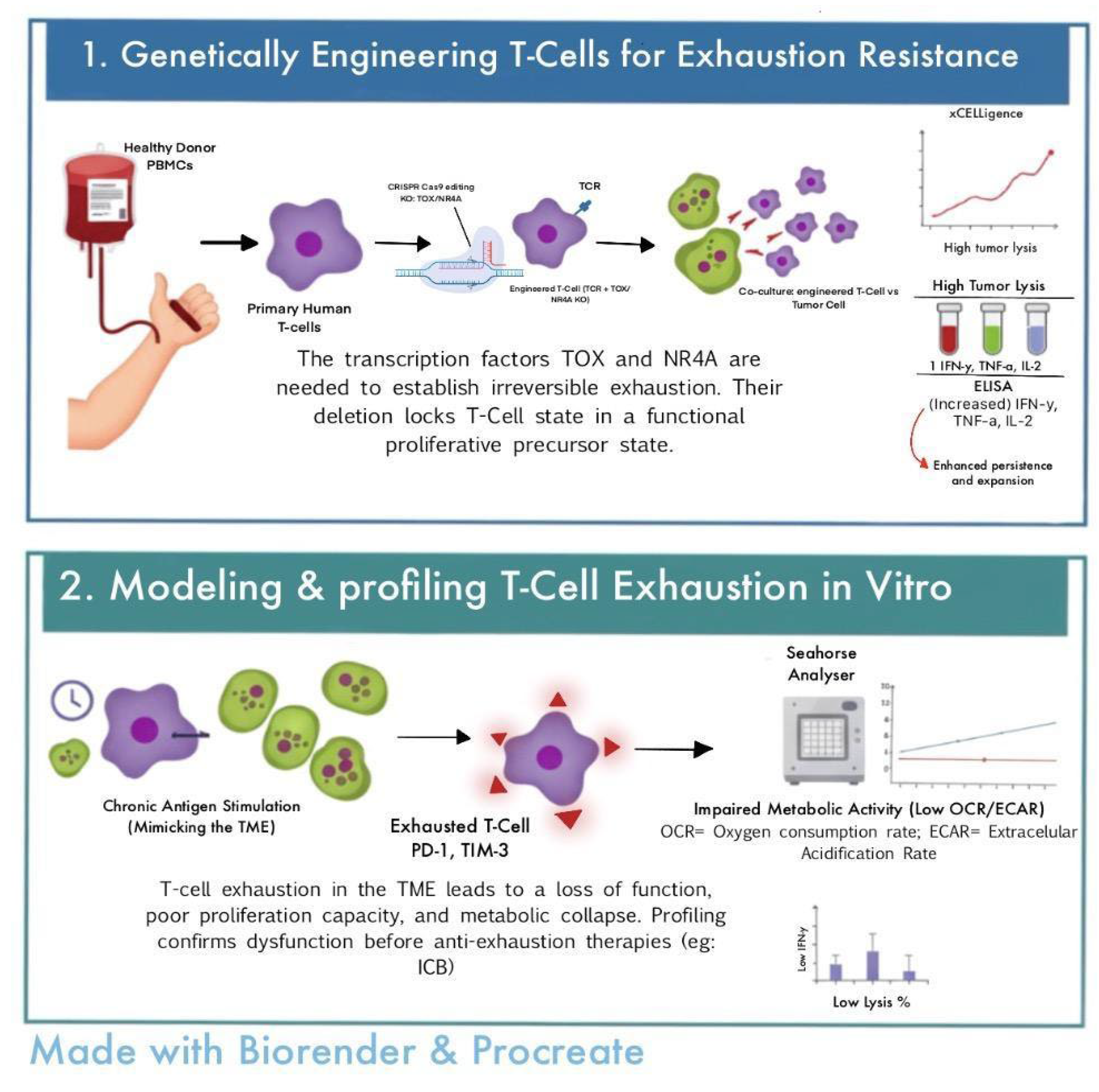 Preprints 199805 g003