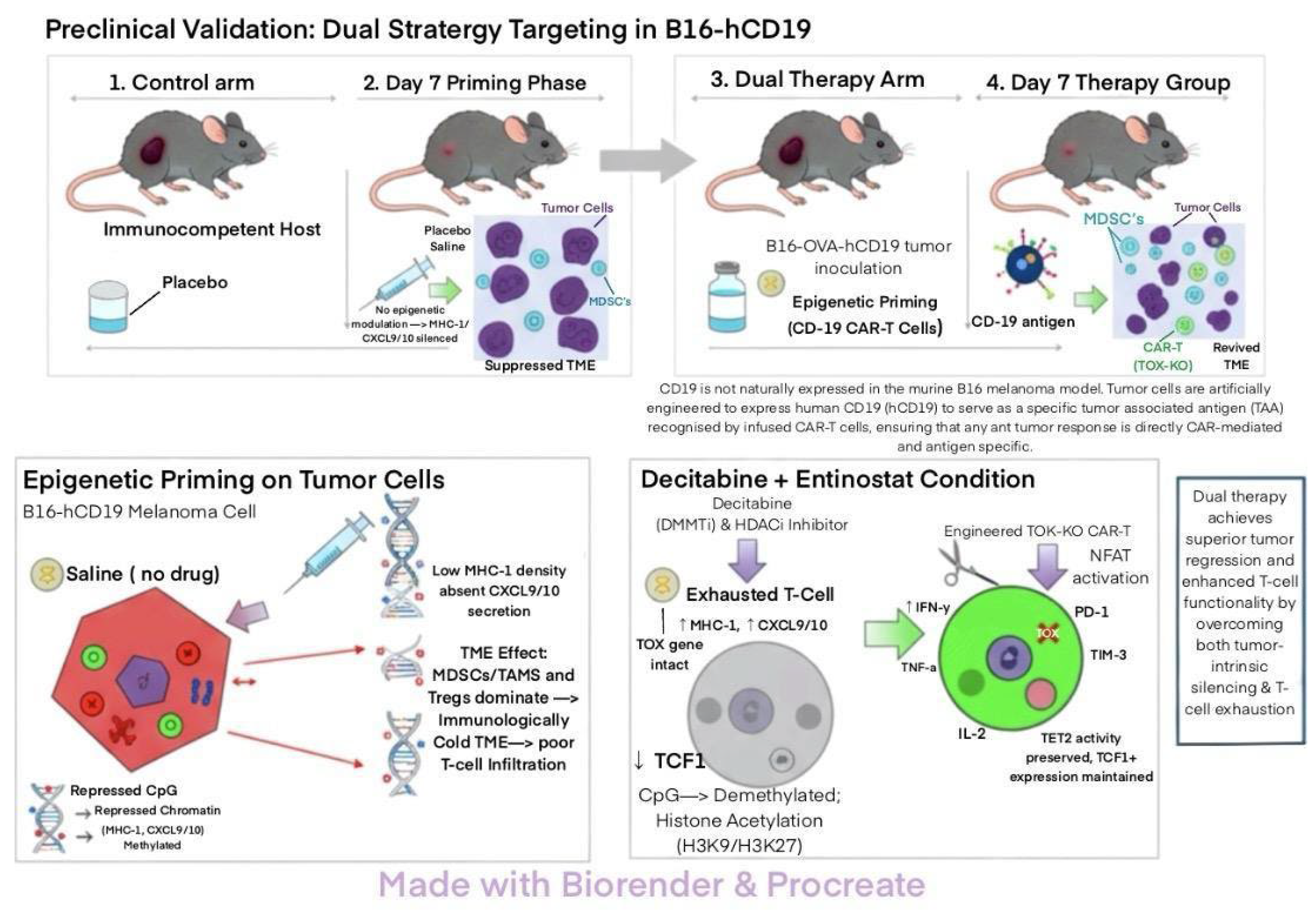 Preprints 199805 g005