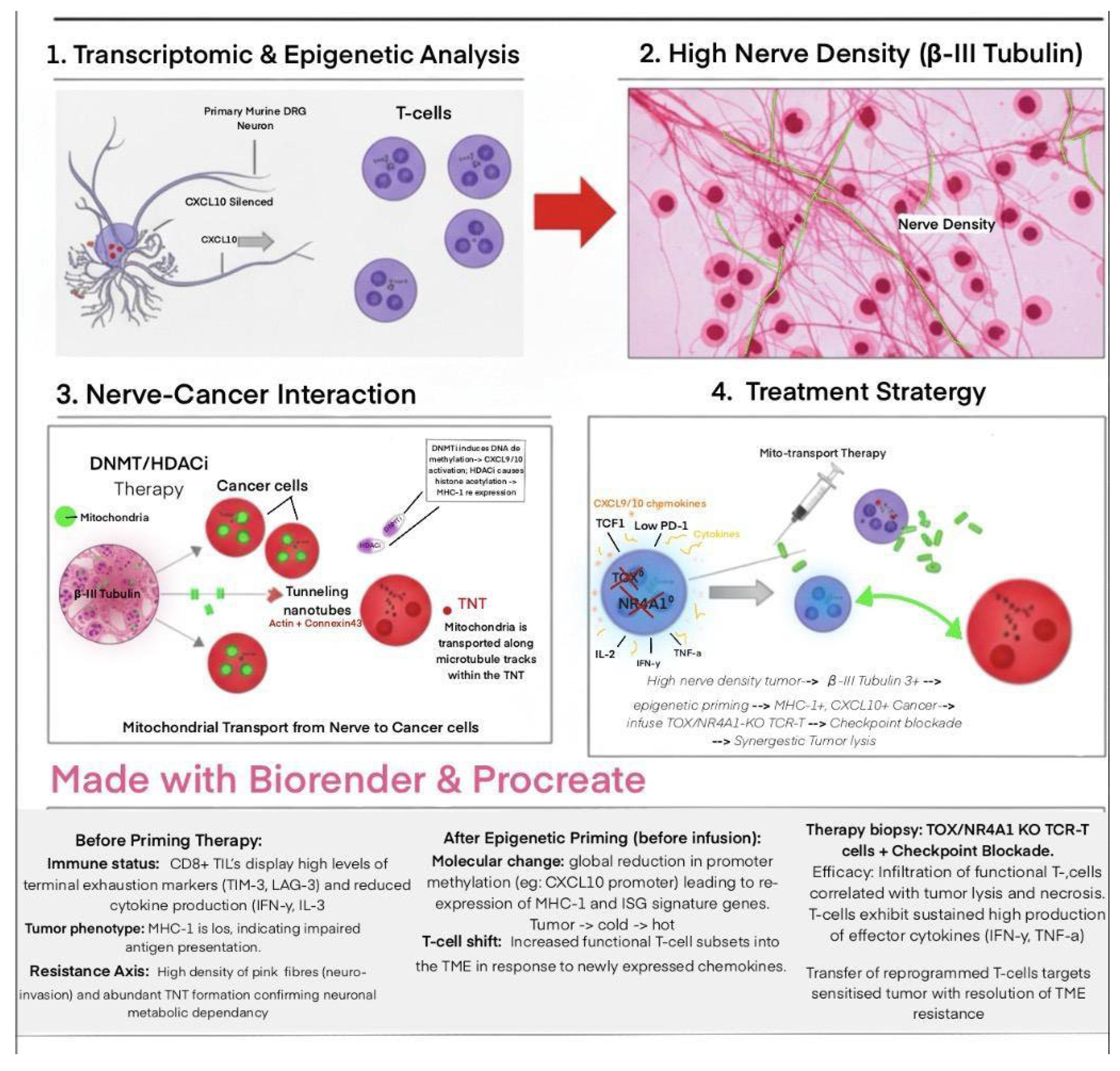 Preprints 199805 g006
