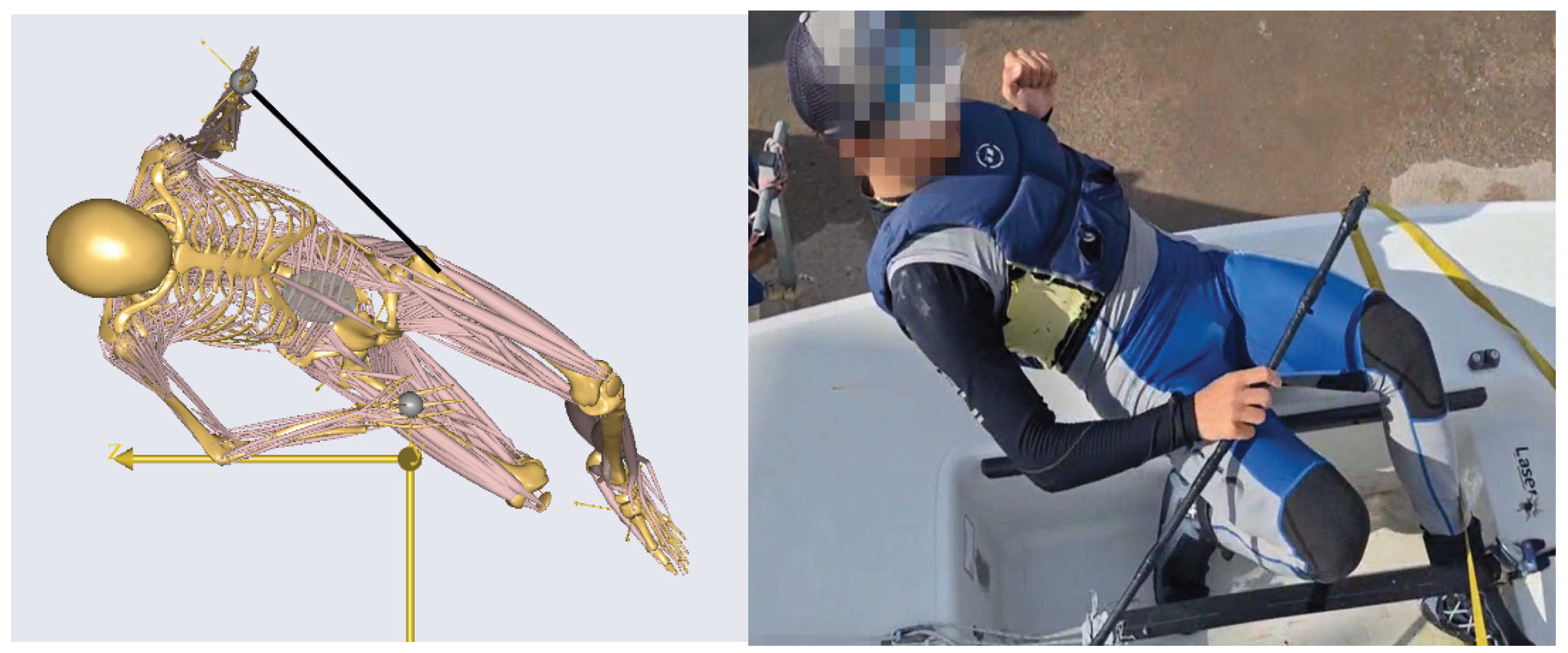 Preprints 196229 g006b