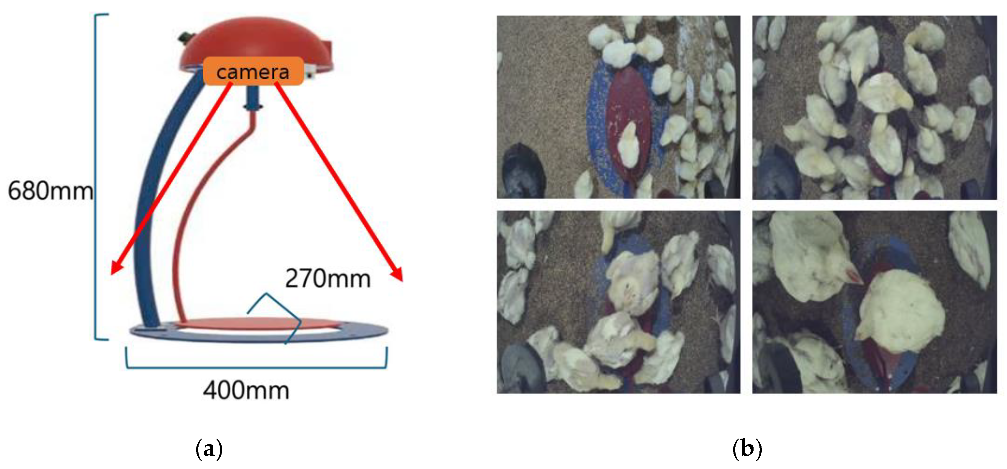Preprints 168132 g002