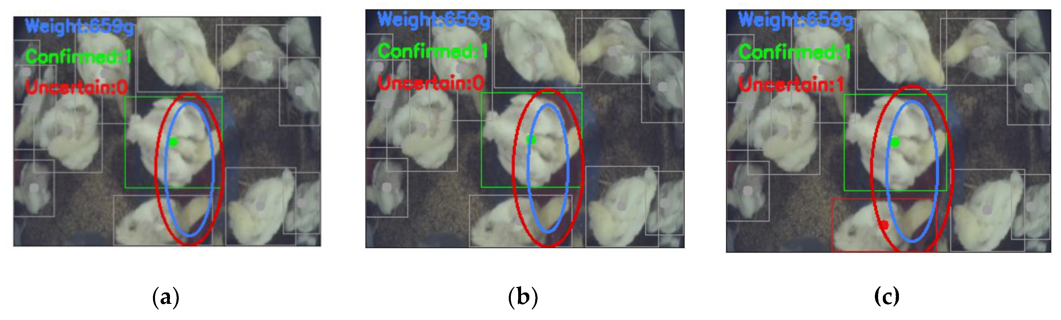 Preprints 168132 g005