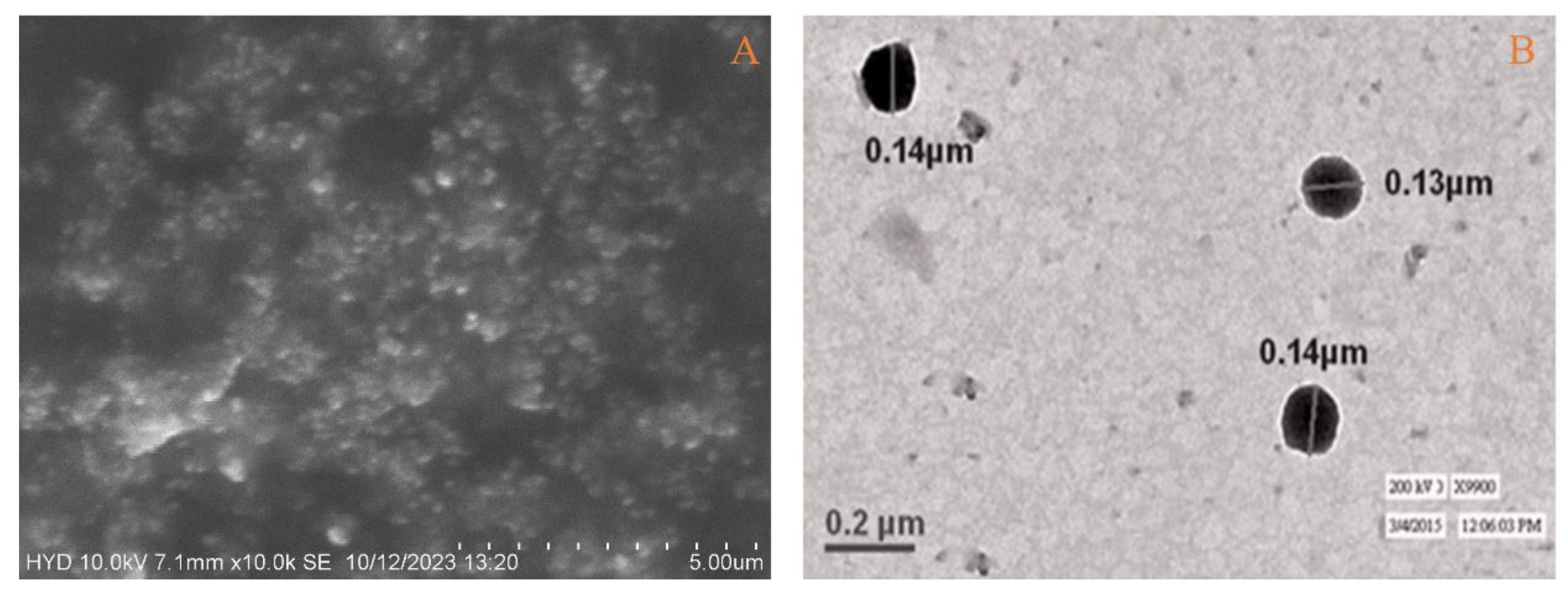 Preprints 186558 g008