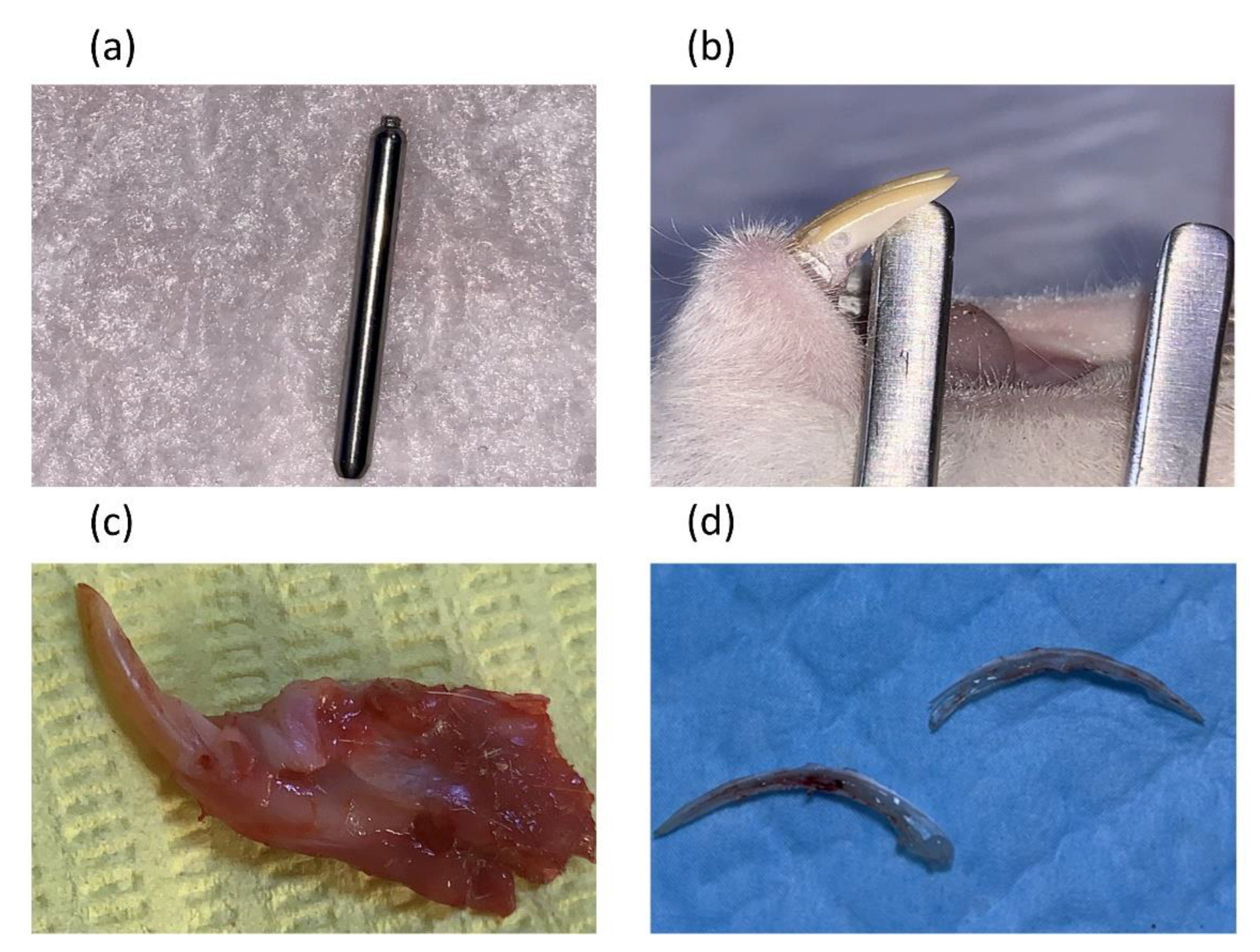Preprints 161083 g001