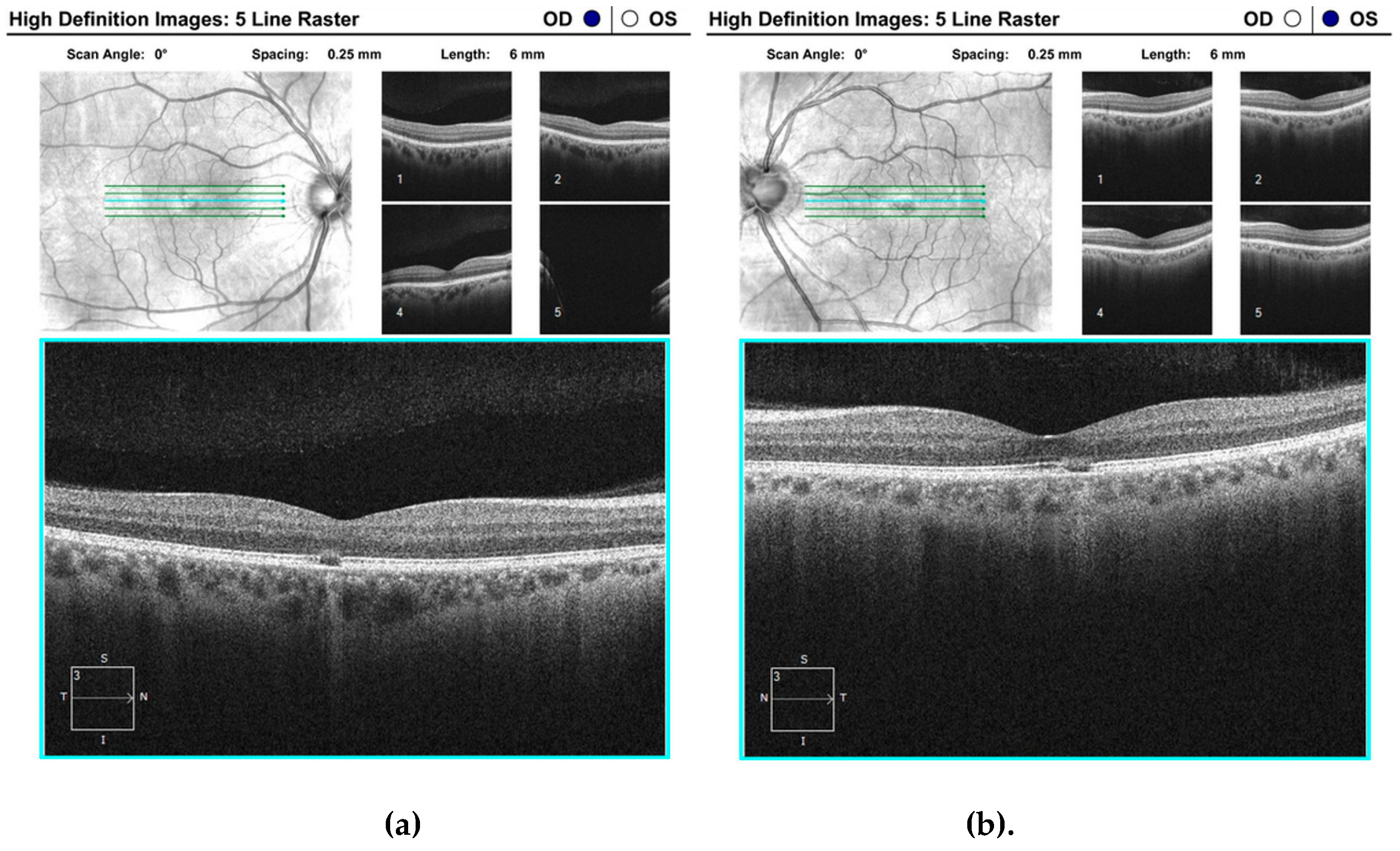 Preprints 140387 g001