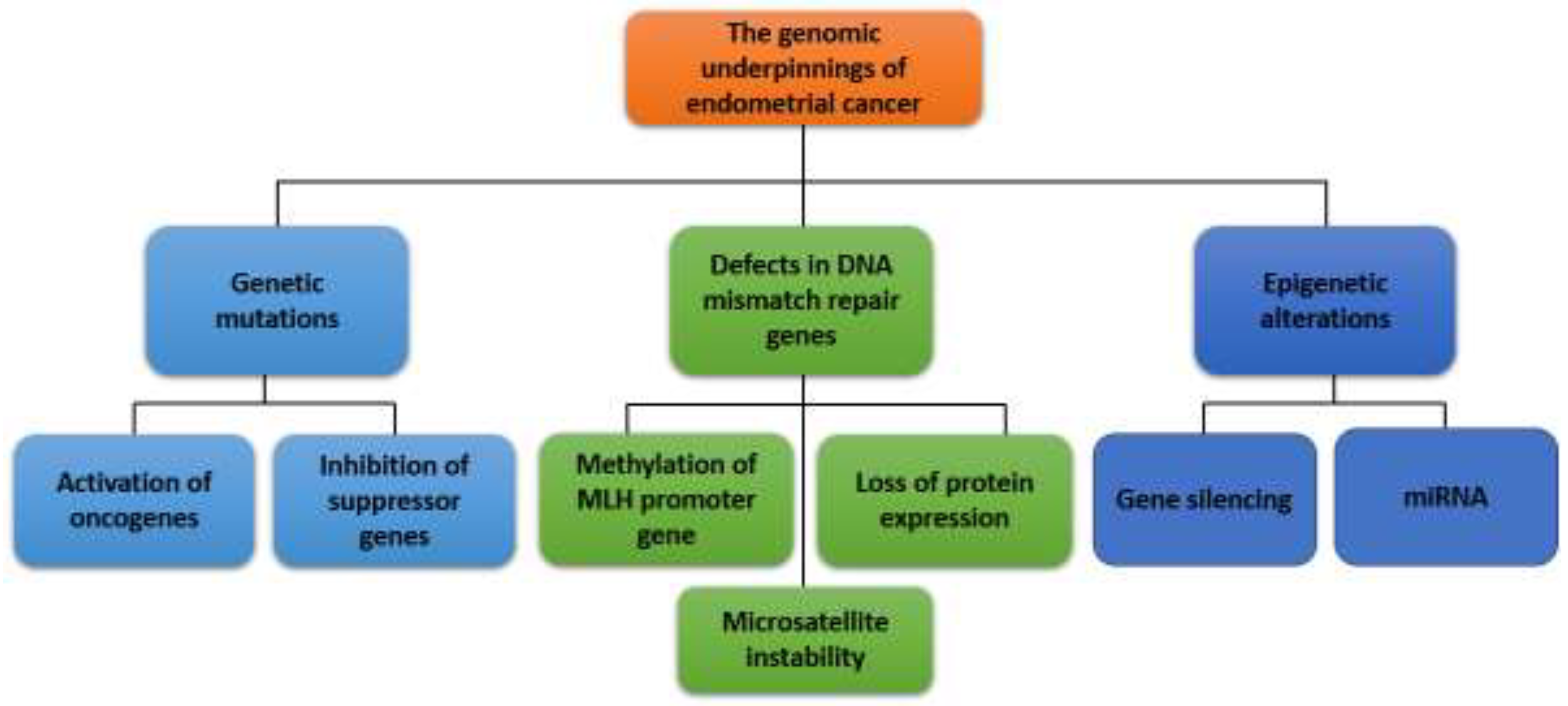 Preprints 121329 g001
