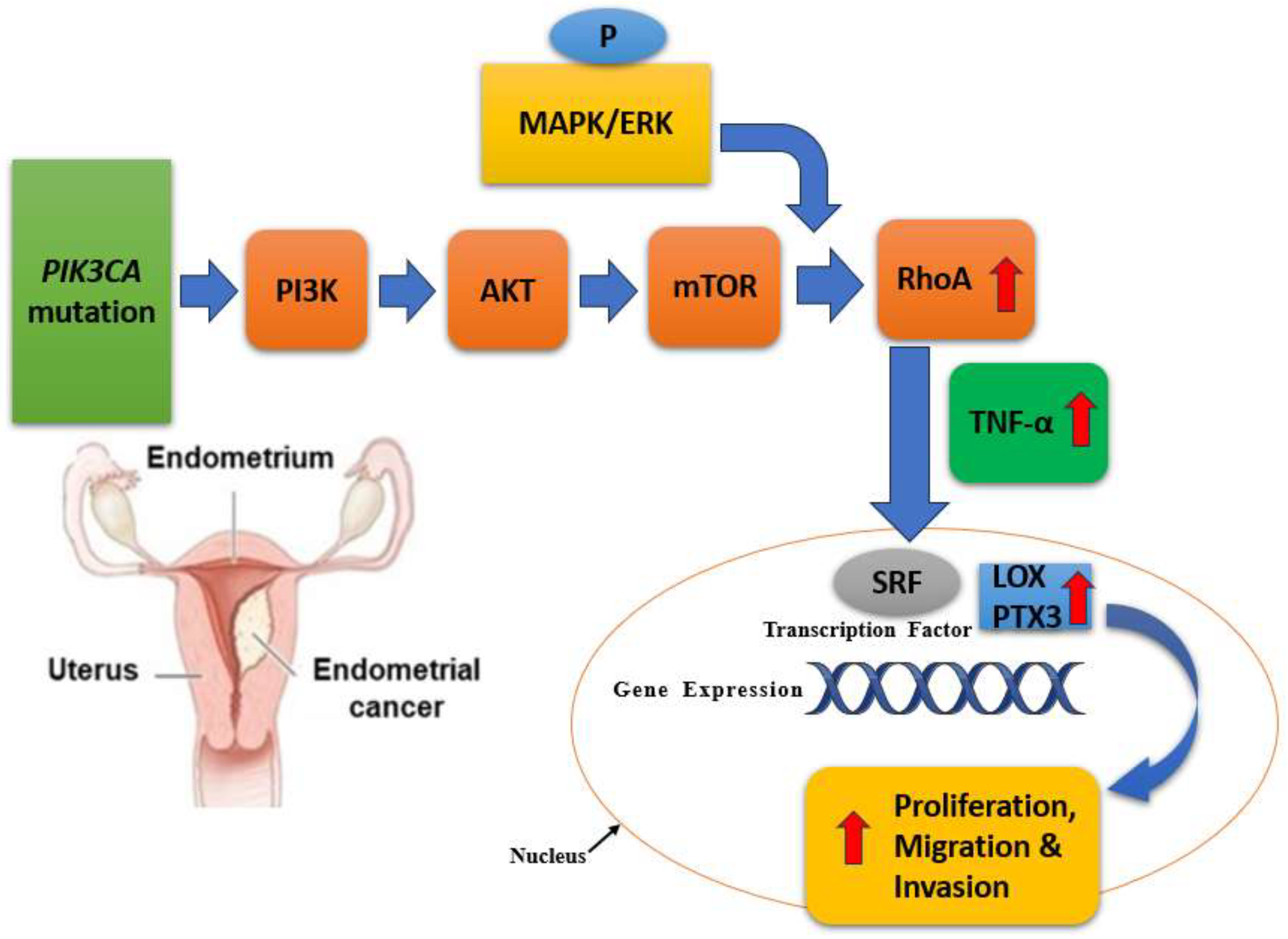 Preprints 121329 g003