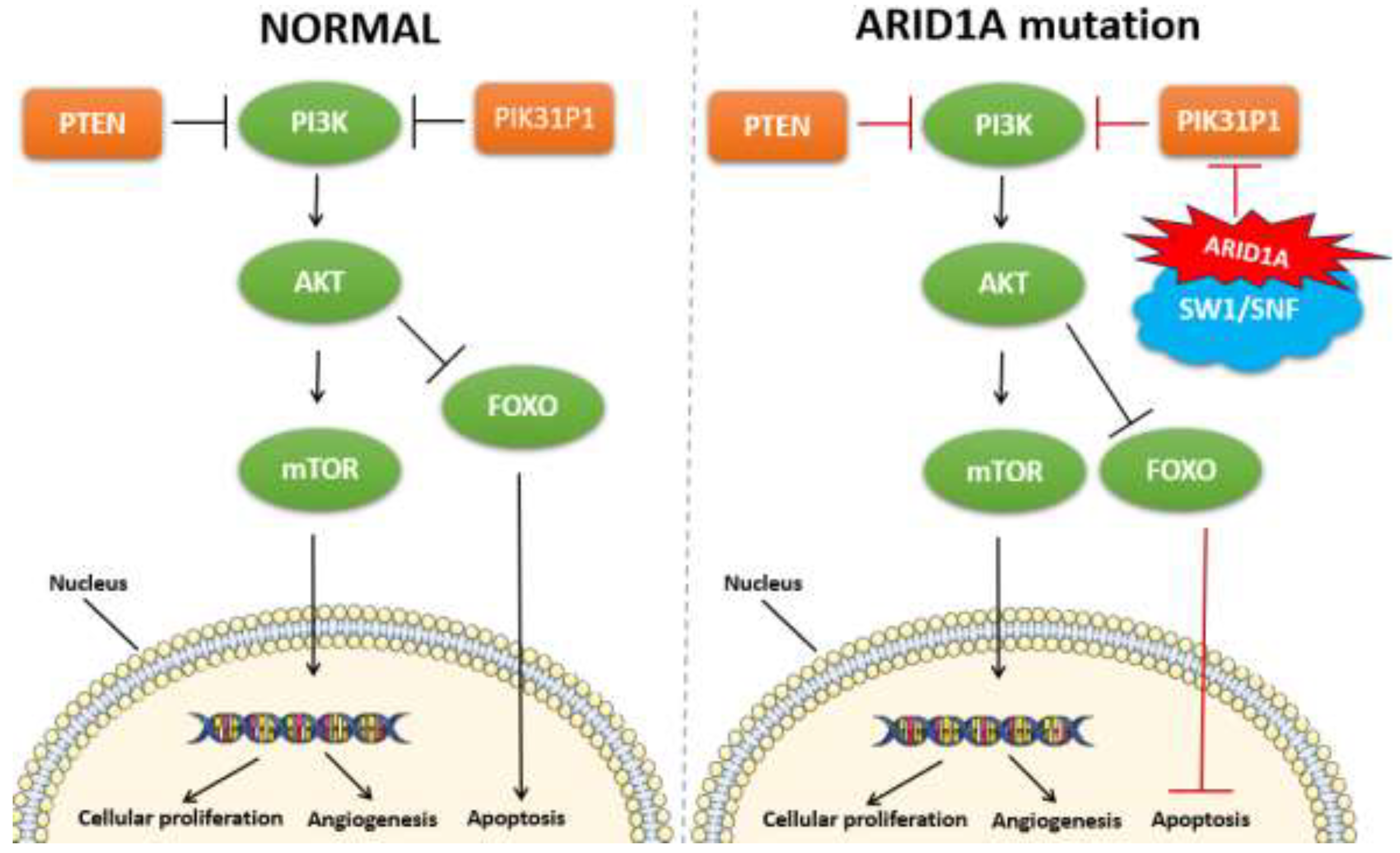 Preprints 121329 g004