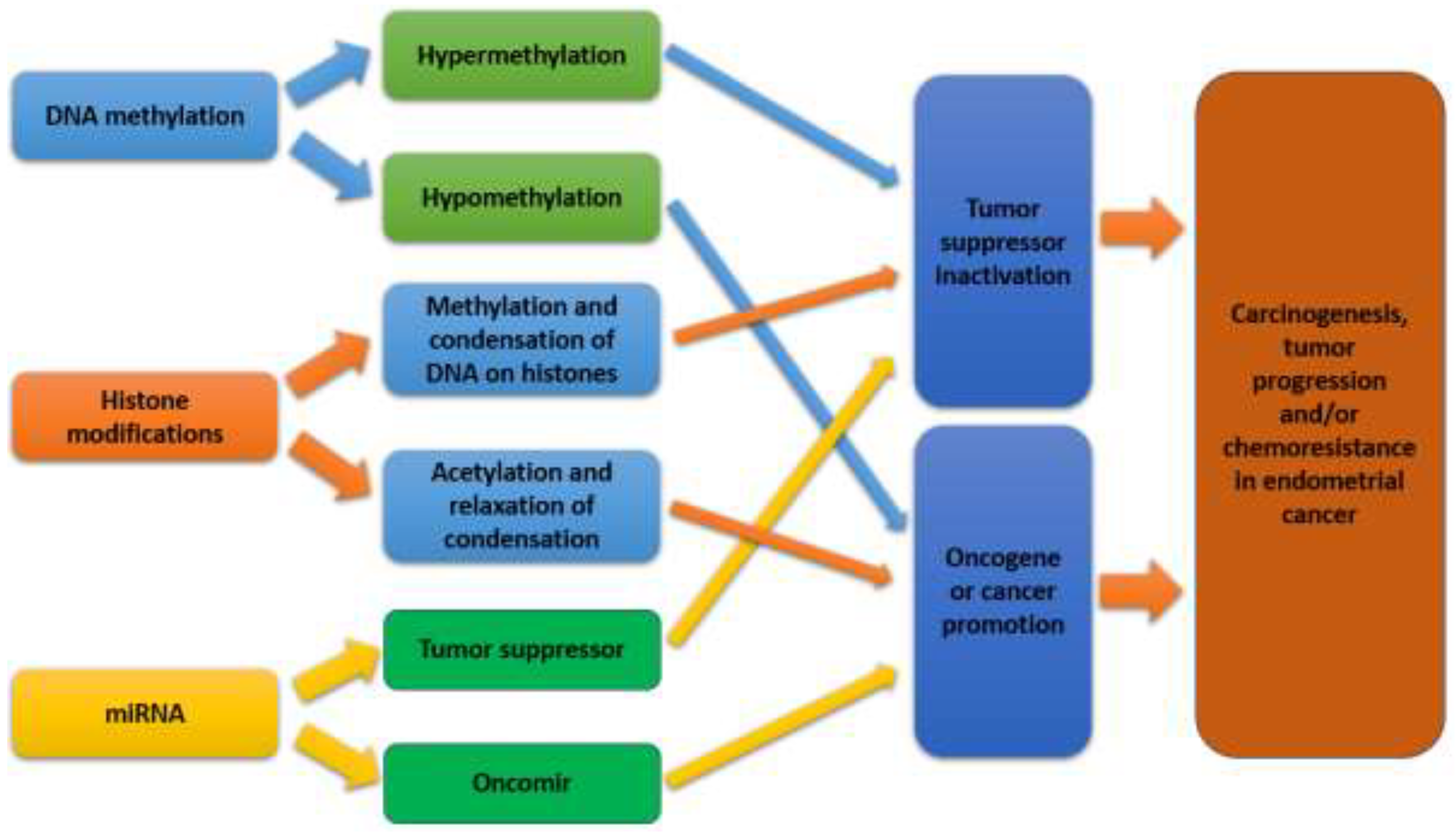Preprints 121329 g006