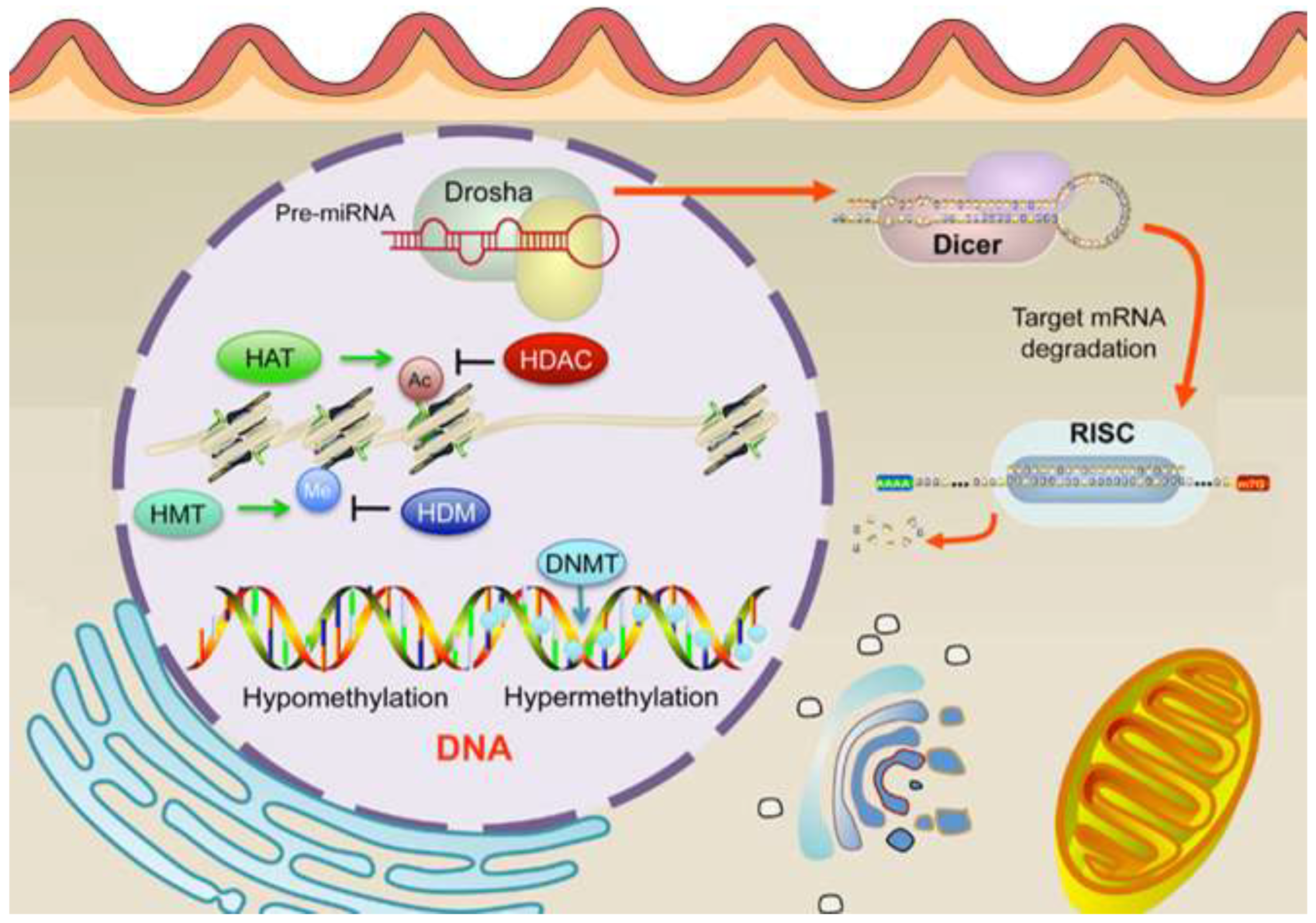 Preprints 121329 g007