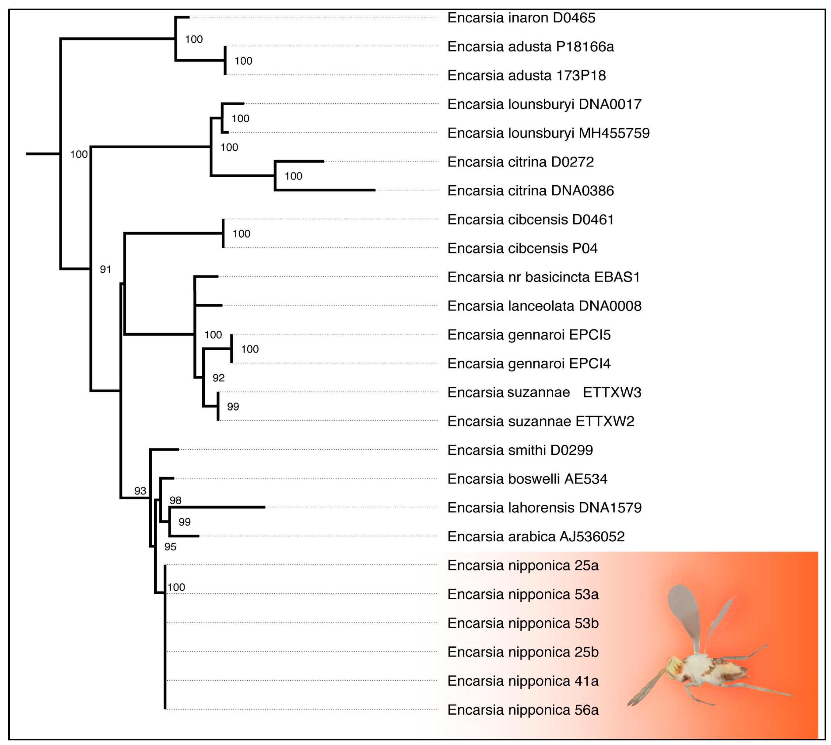 Preprints 168687 g004