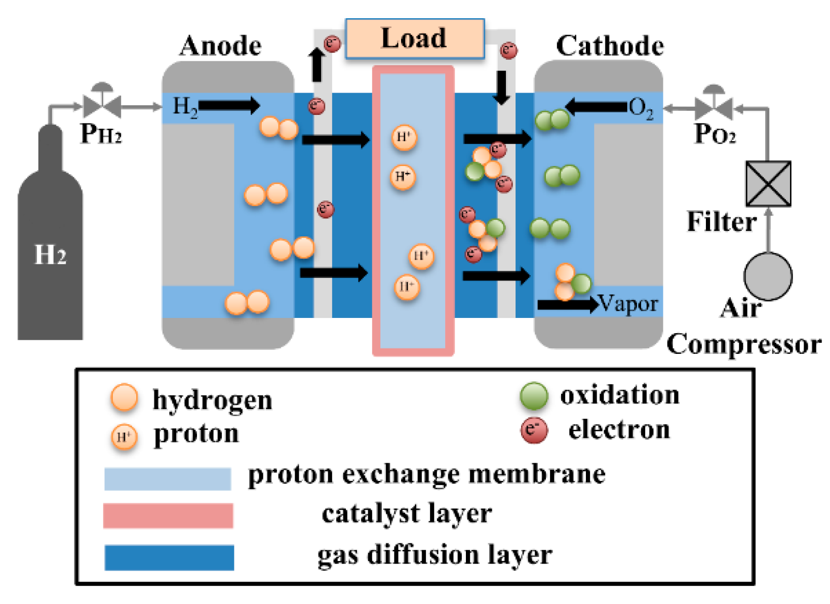 Preprints 198328 g001