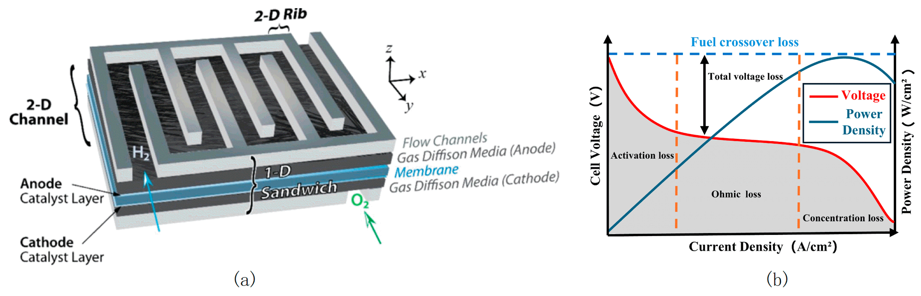 Preprints 198328 g002