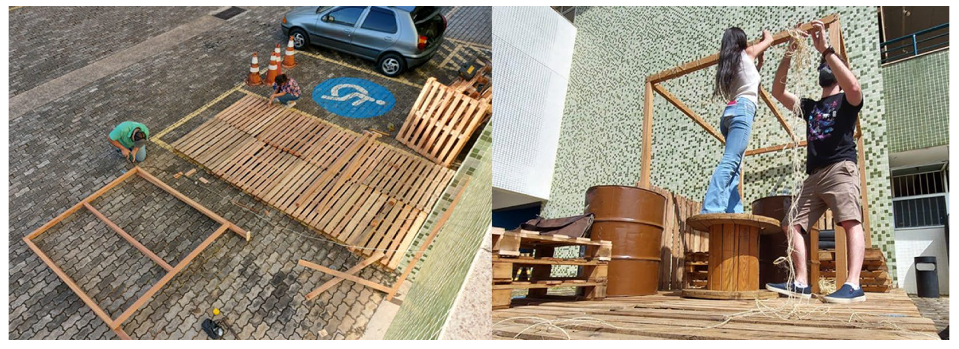 Preprints 141621 g001