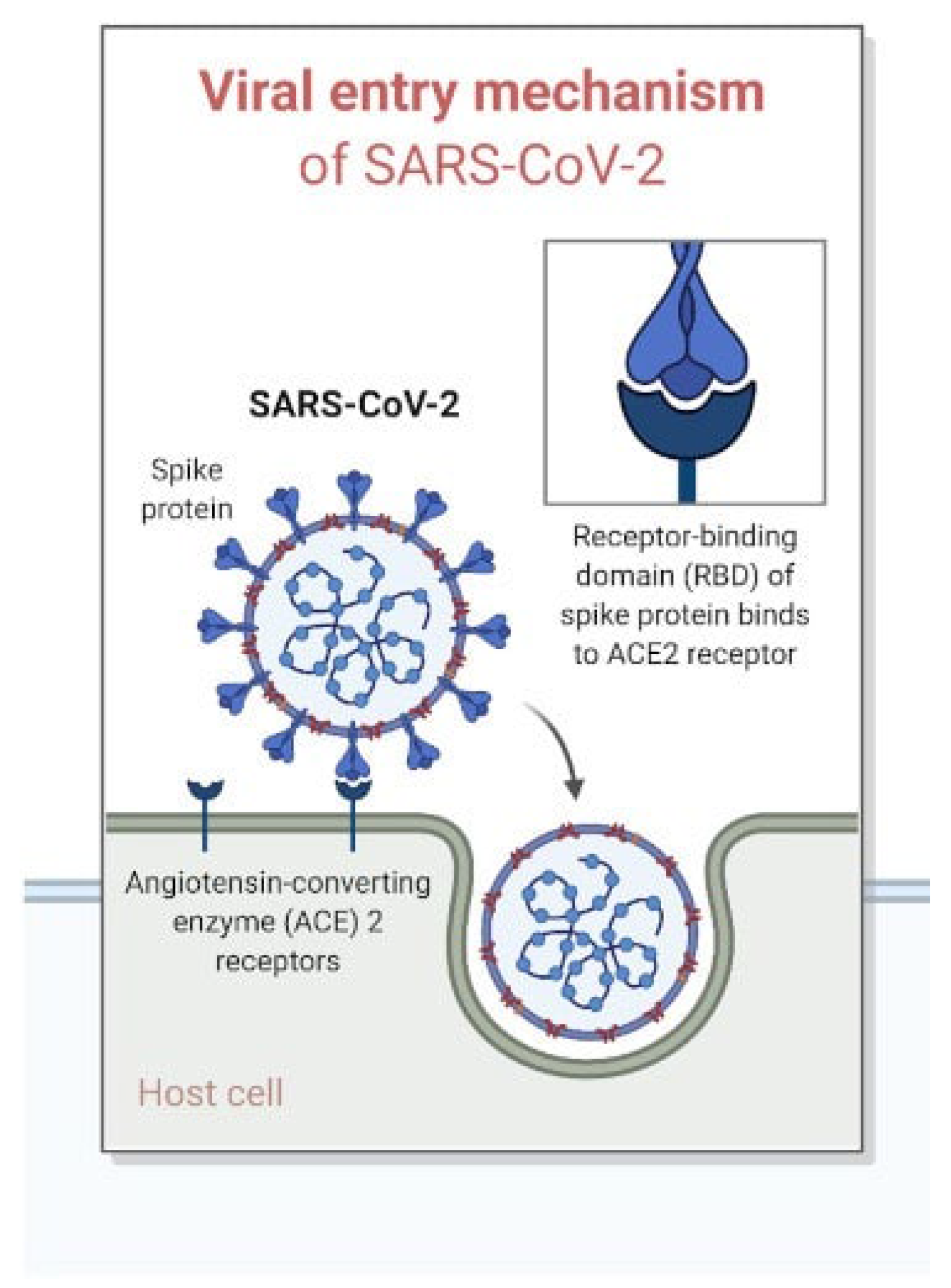 Preprints 141517 g001