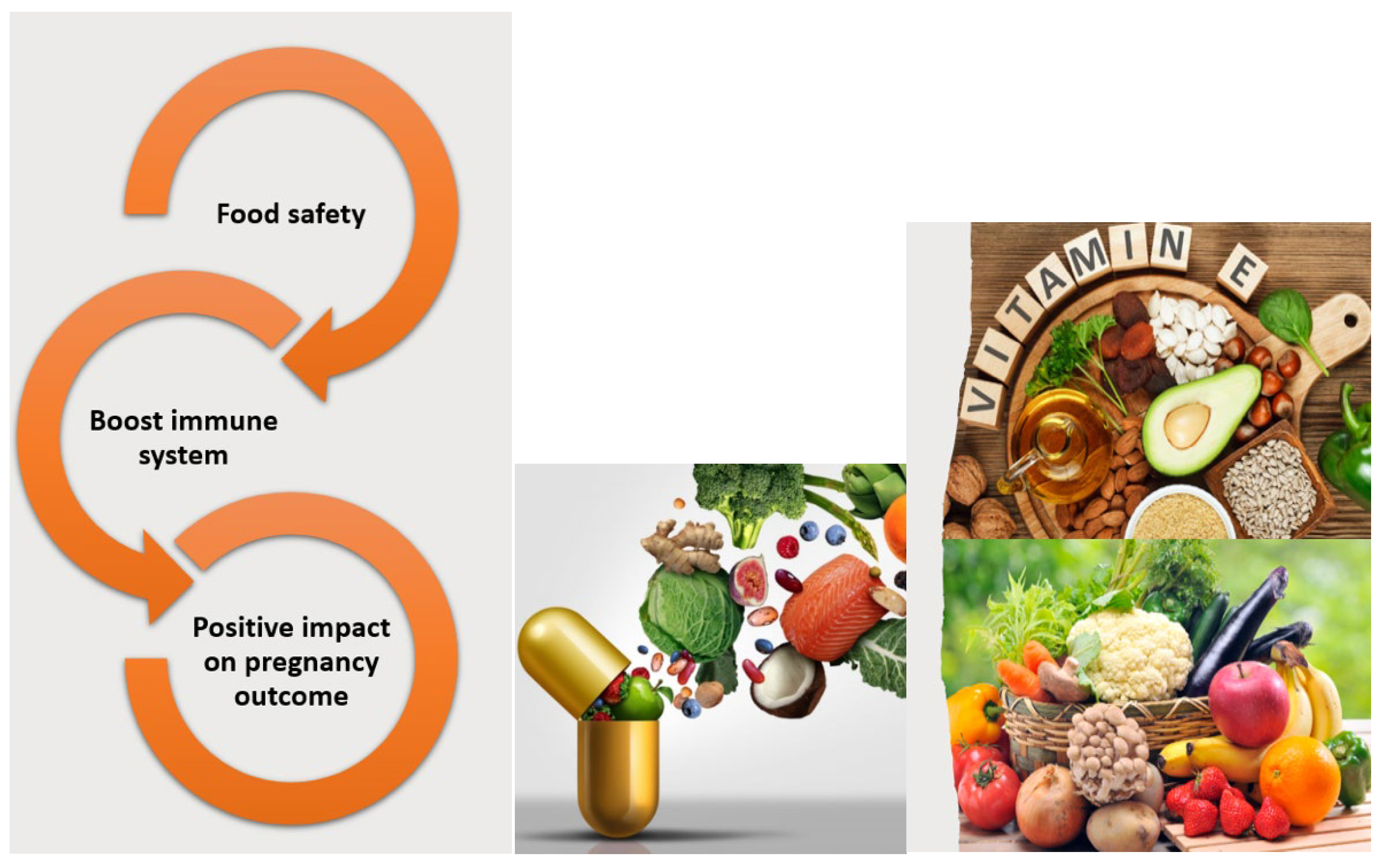 Preprints 141517 g003