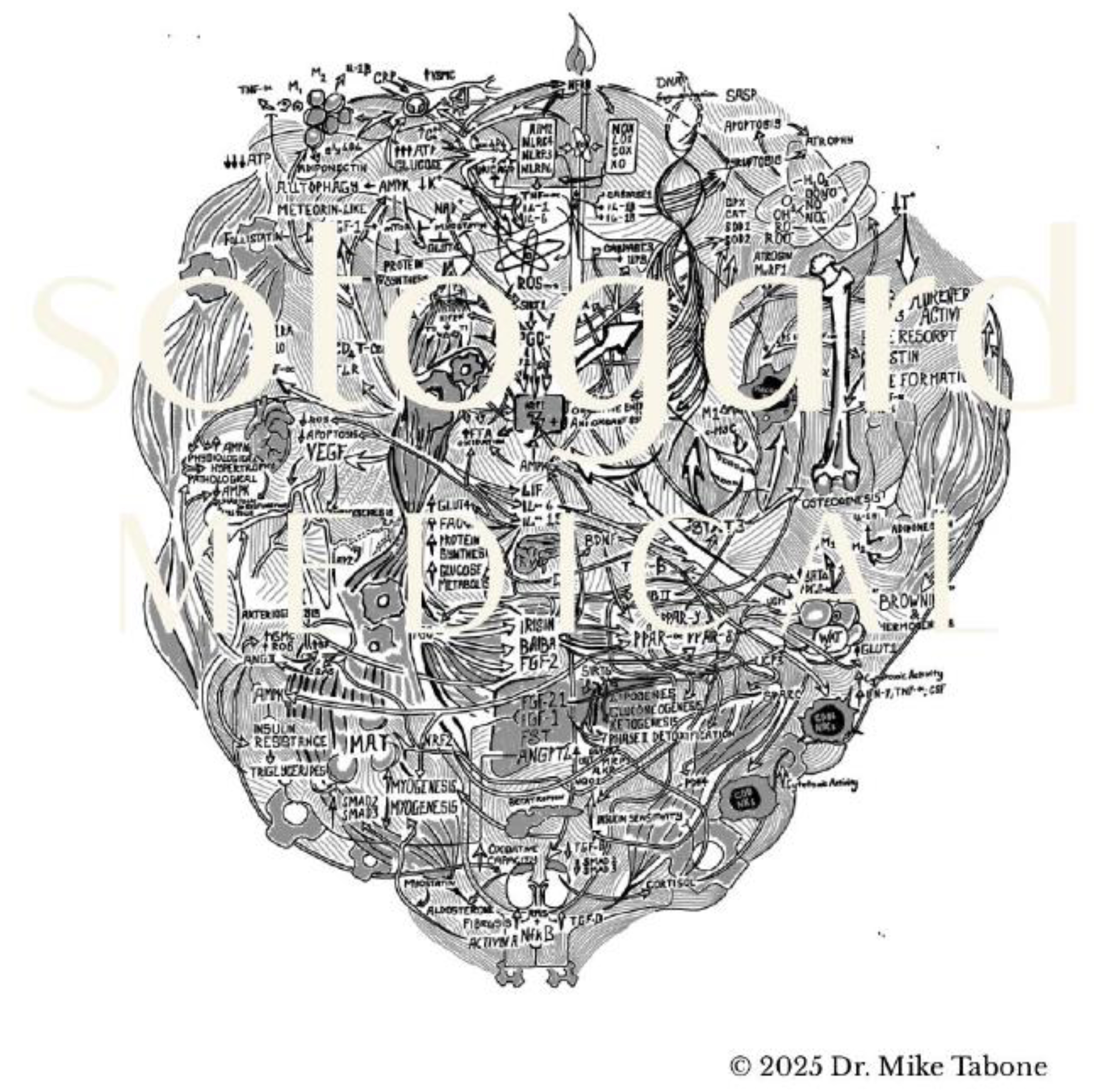 Preprints 172739 g001