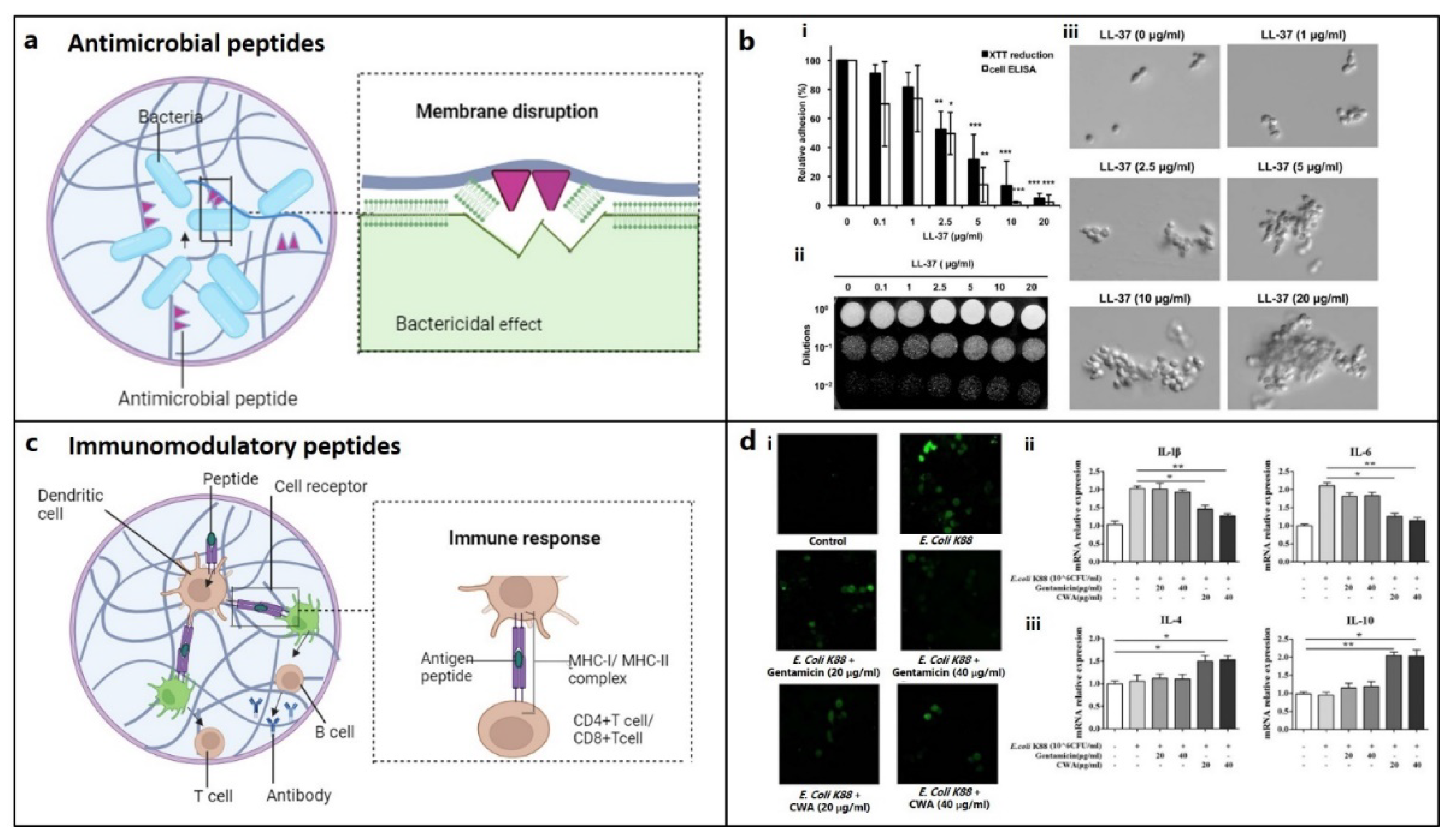 Preprints 94804 g004