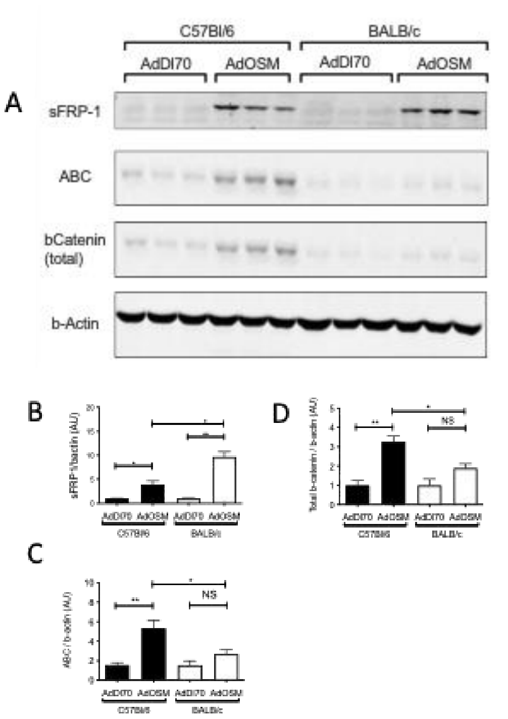 Preprints 233377 g003